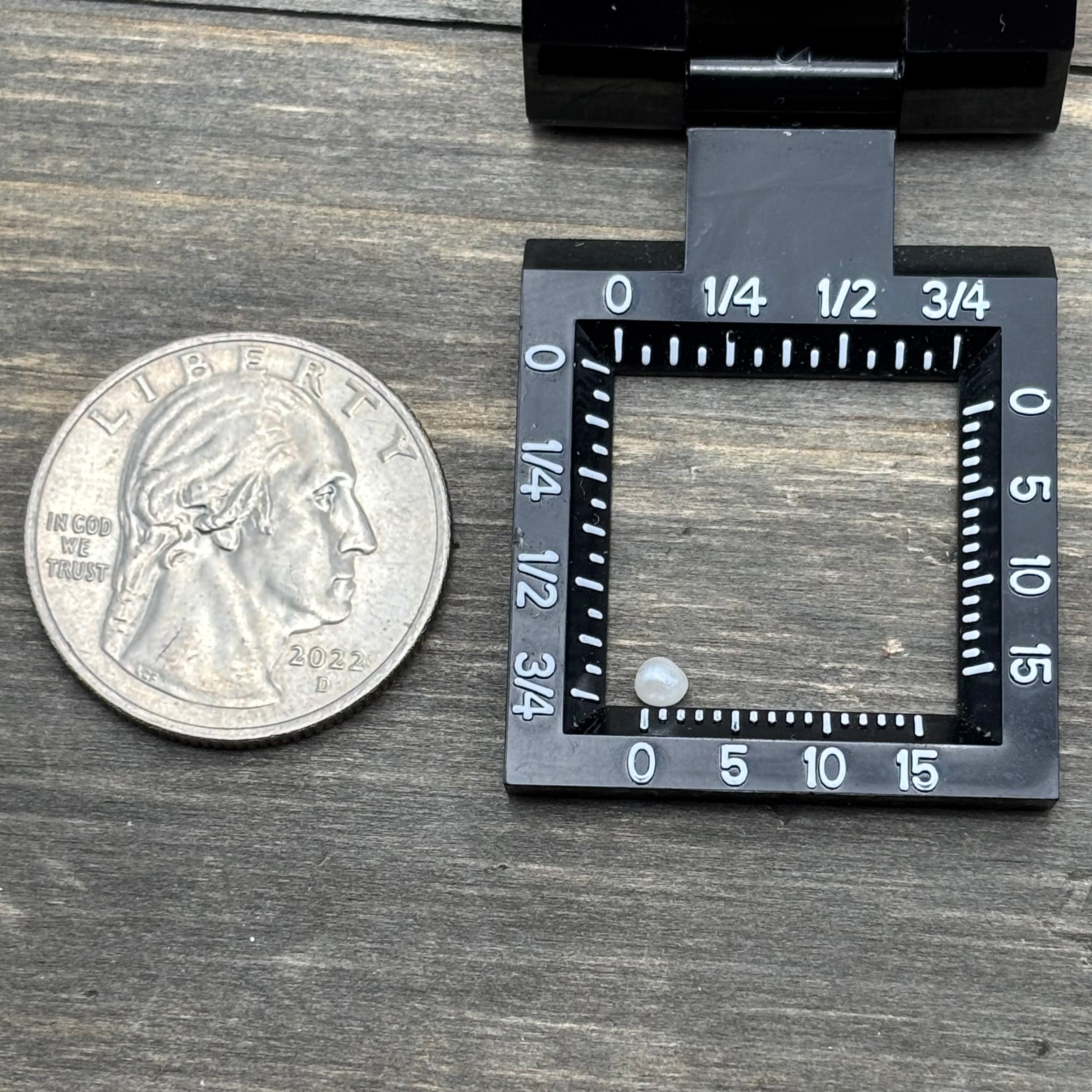 Wild Freshwater Pearl - 072