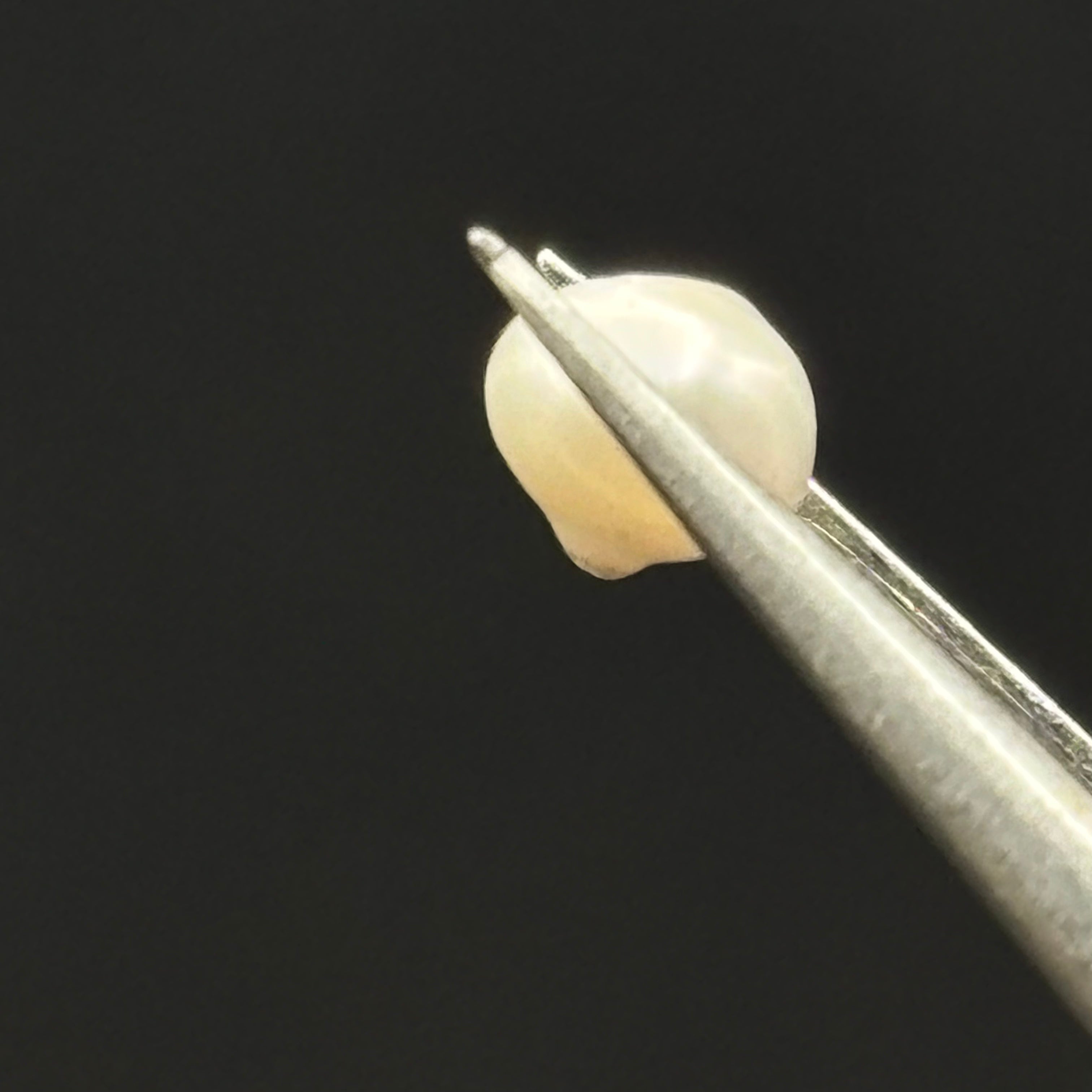 Wild Freshwater Pearl - 073