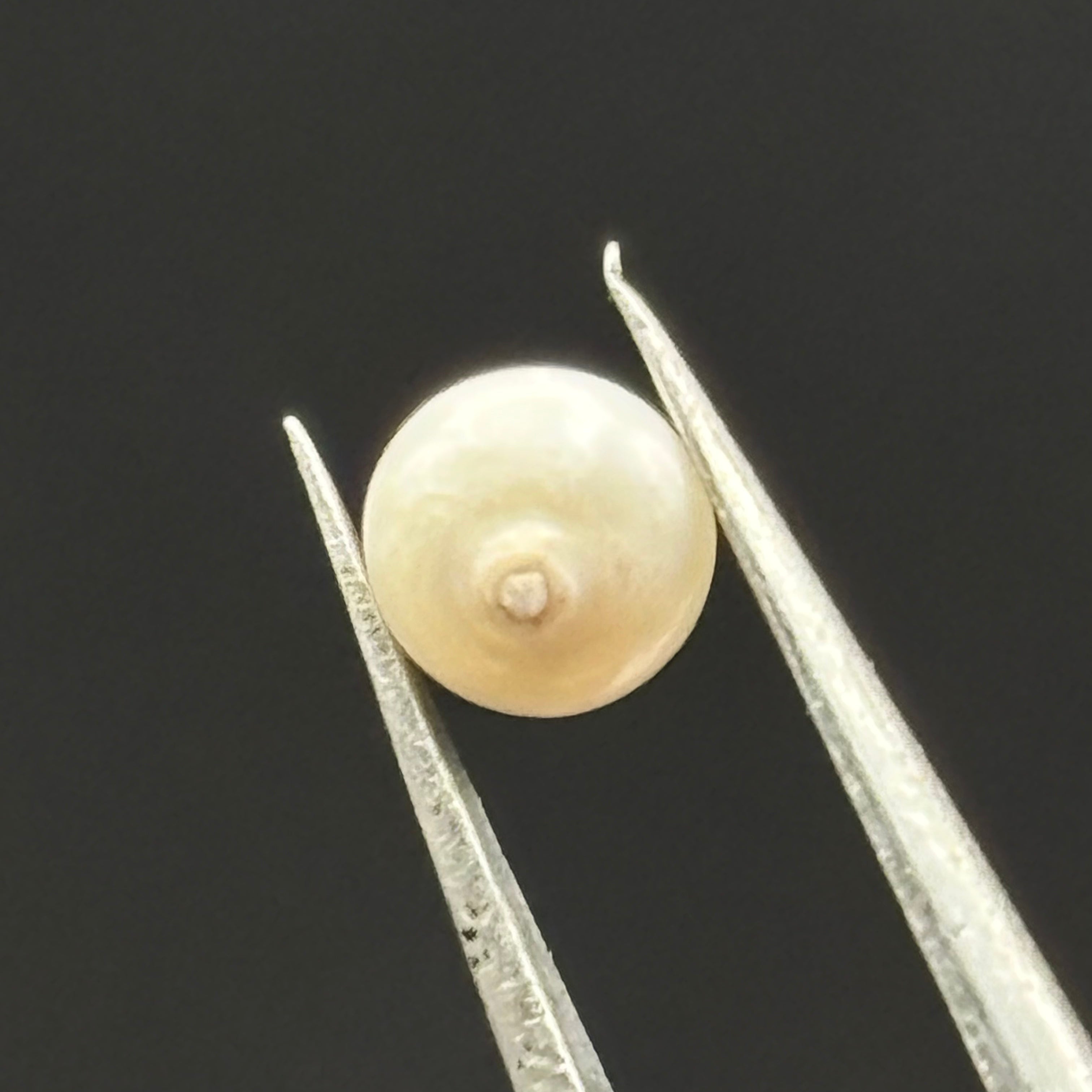 Wild Freshwater Pearl - 073