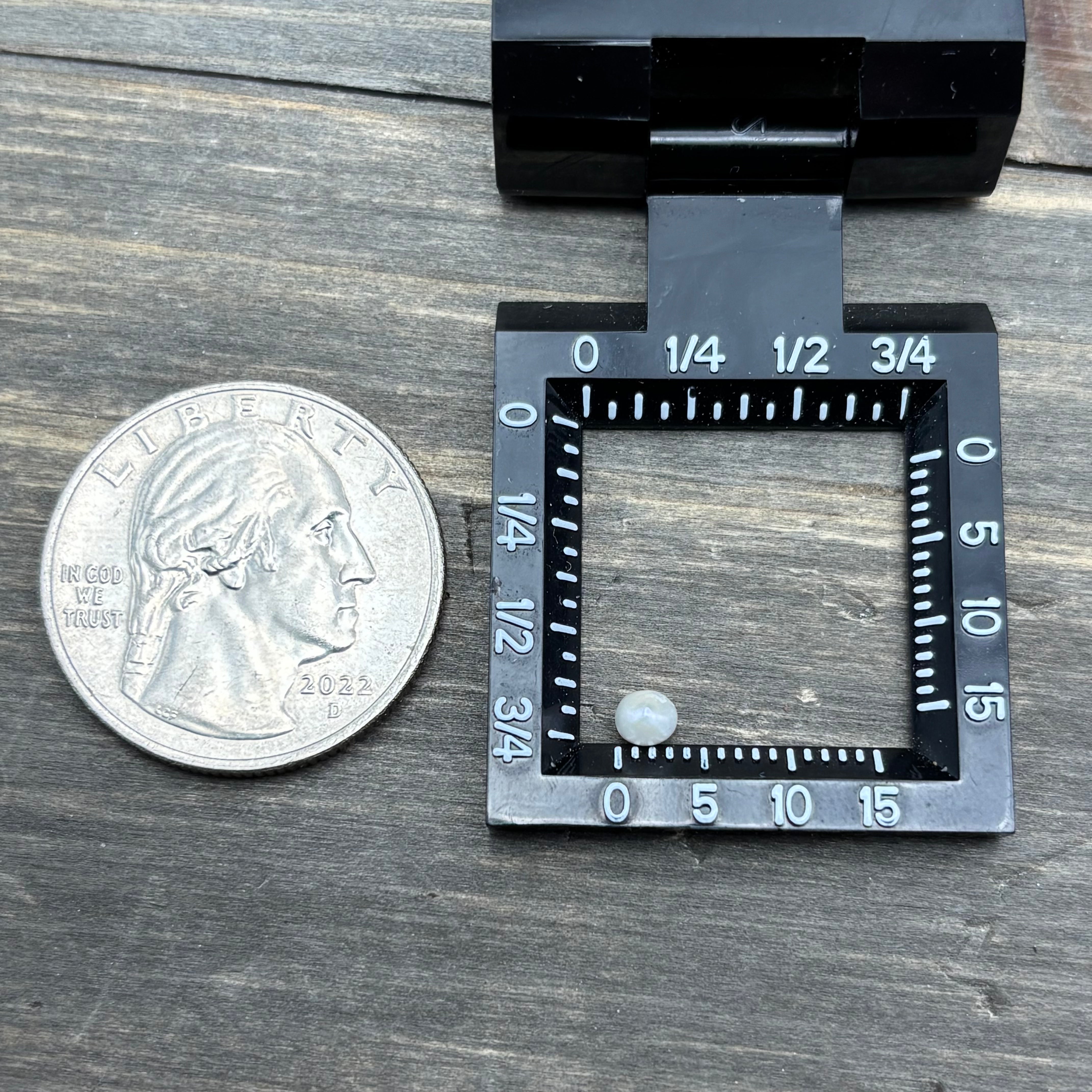 Wild Freshwater Pearl - 073