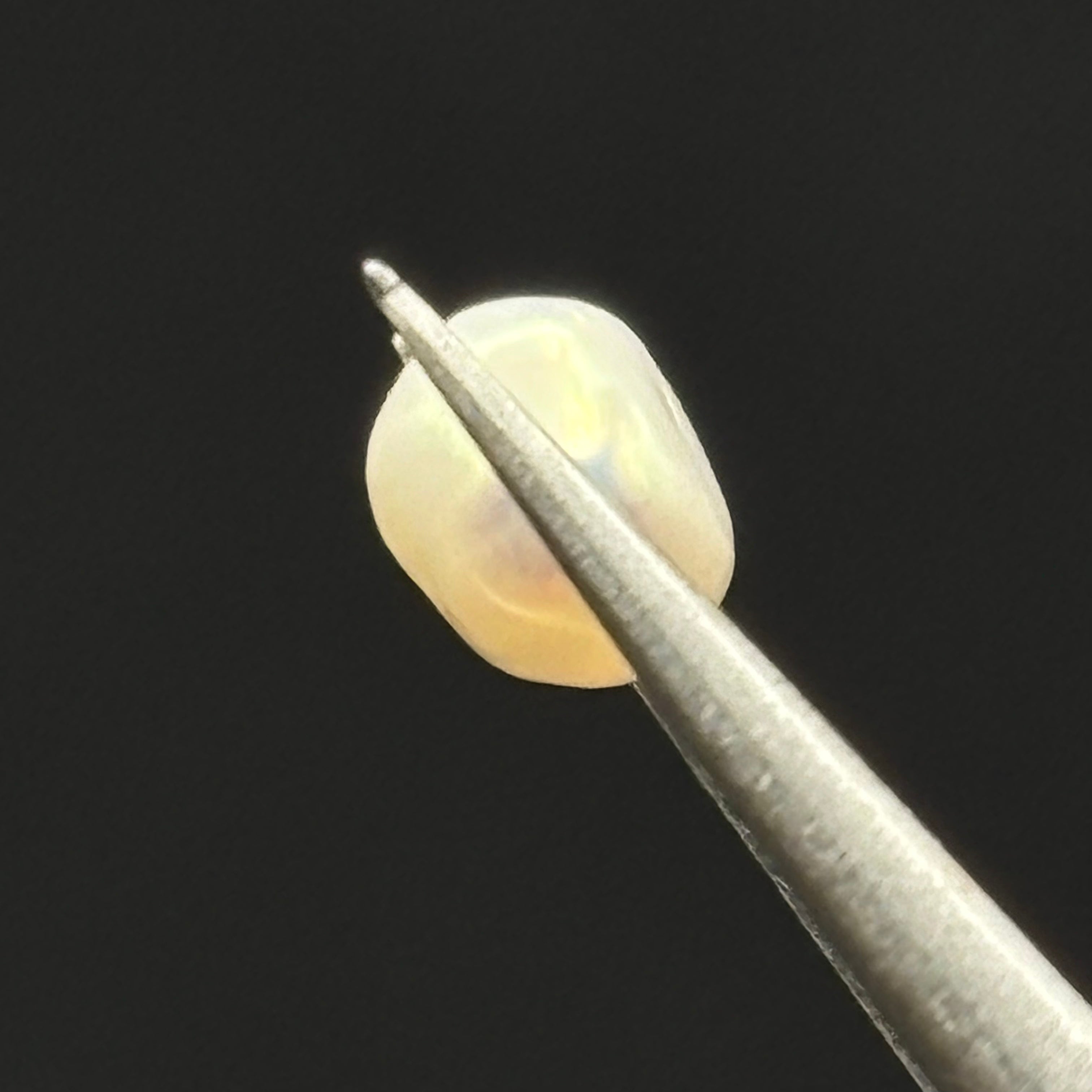 Wild Freshwater Pearl - 074