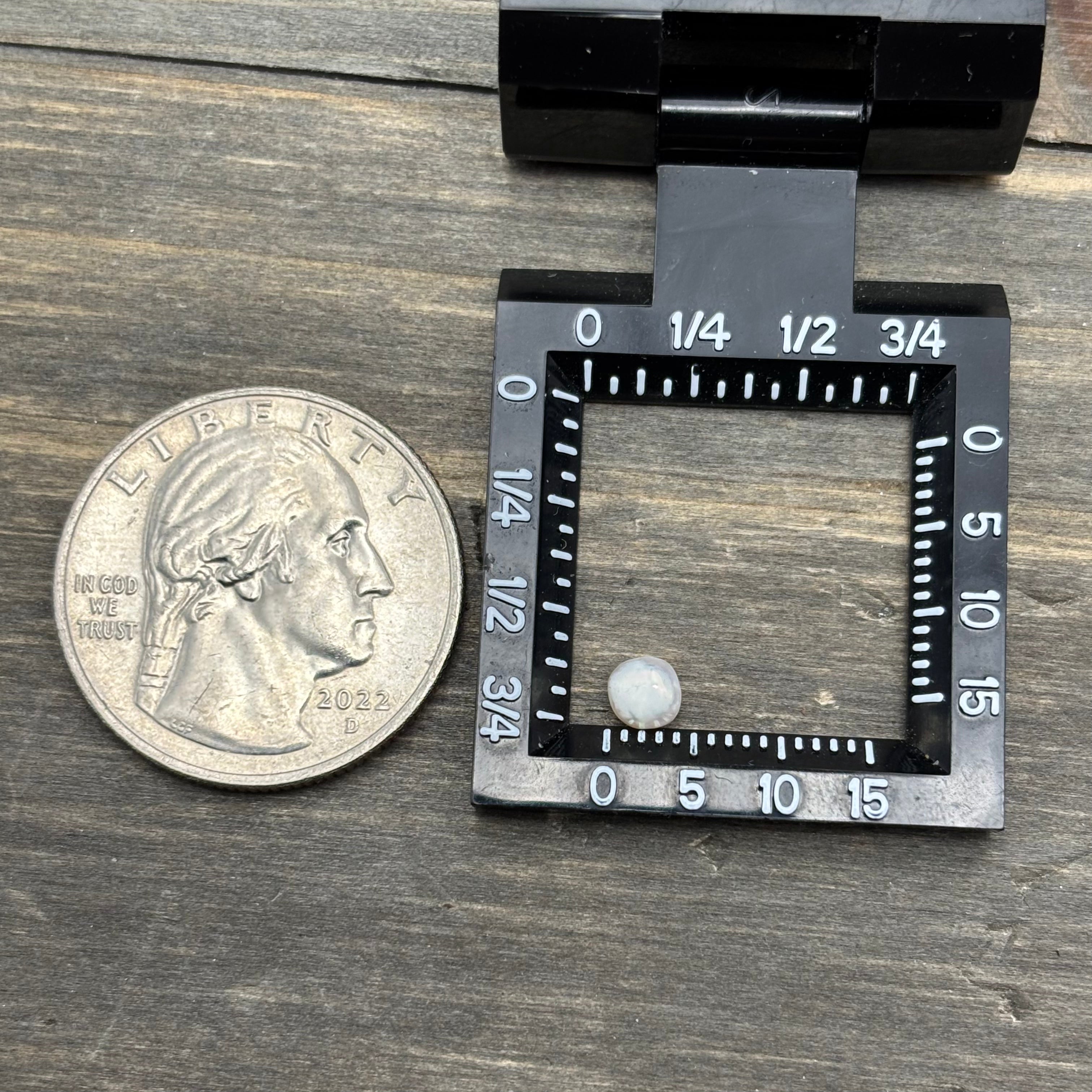 Wild Freshwater Pearl - 074