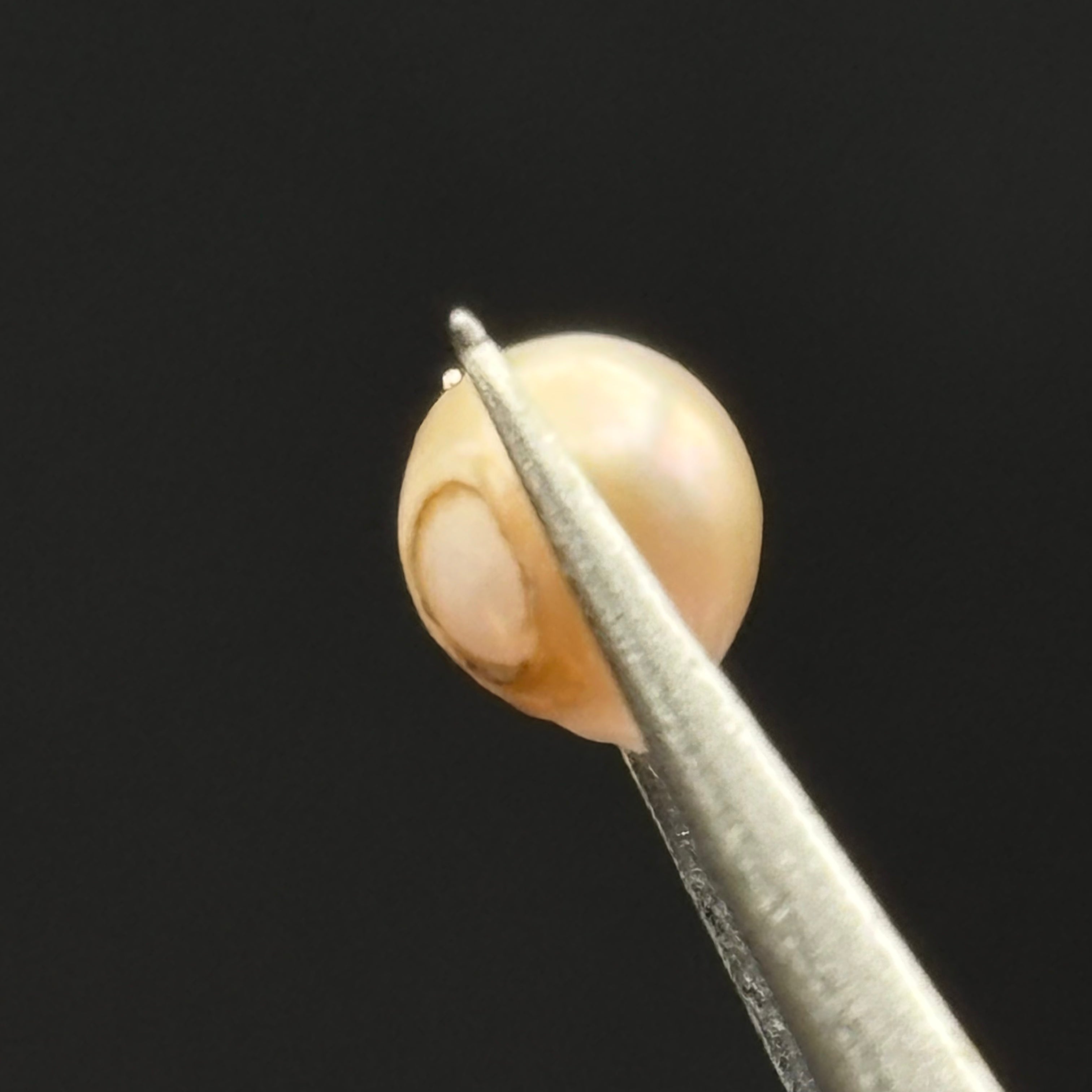 Wild Freshwater Pearl - 076