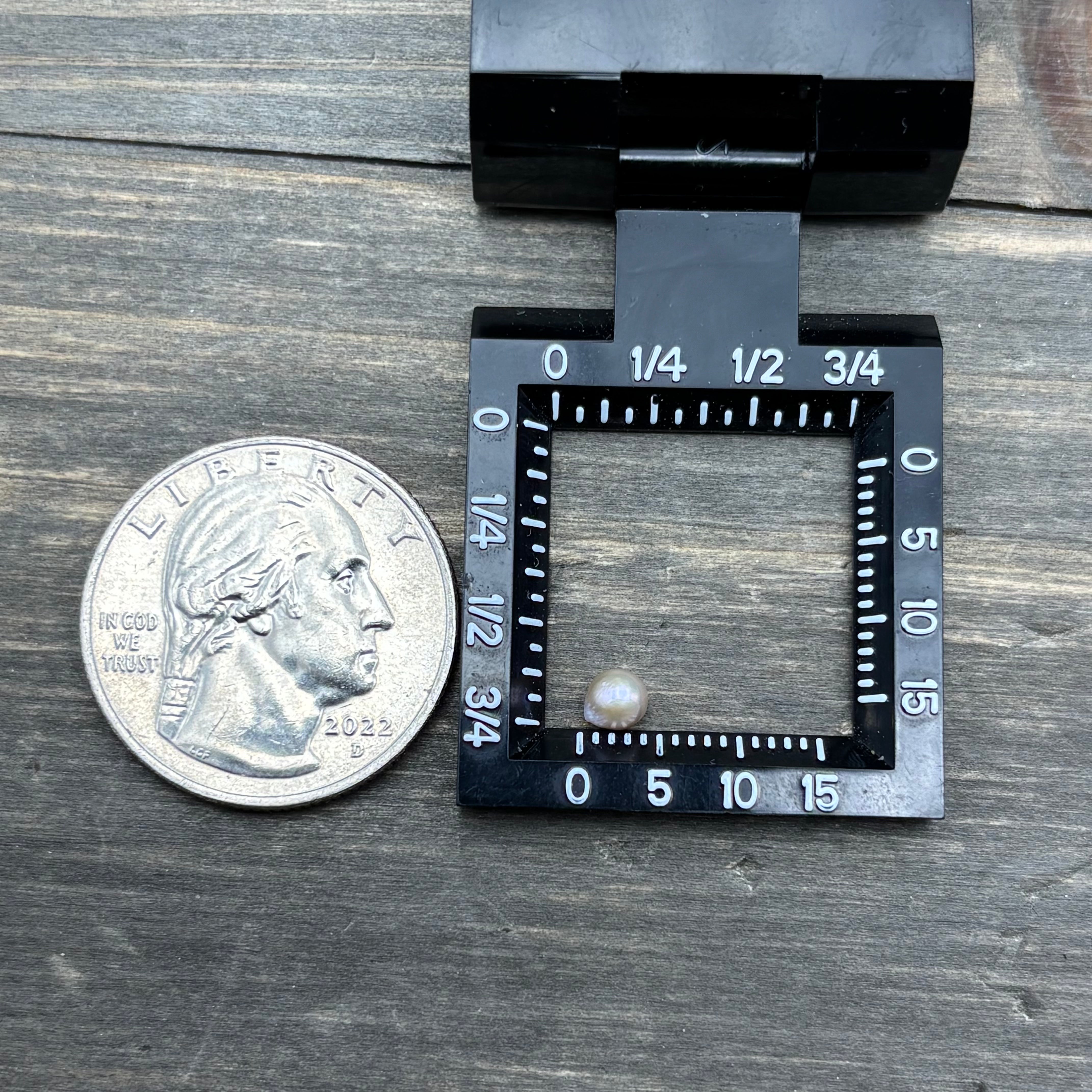 Wild Freshwater Pearl - 076