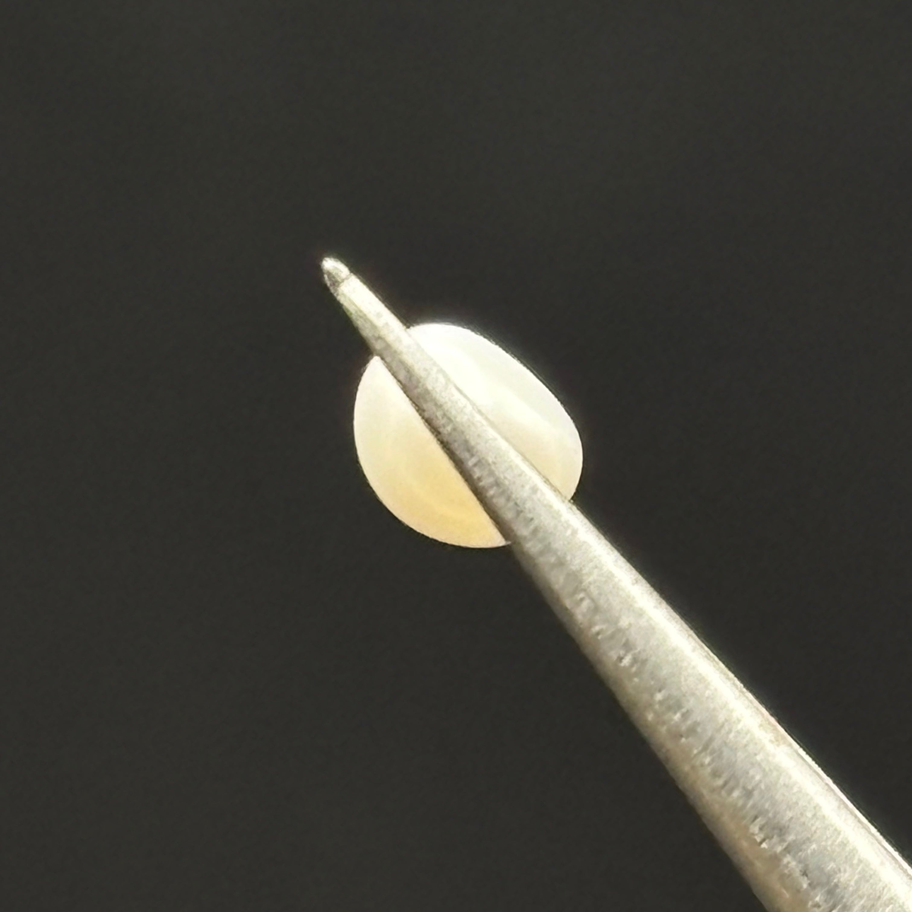 Wild Freshwater Pearl - 077