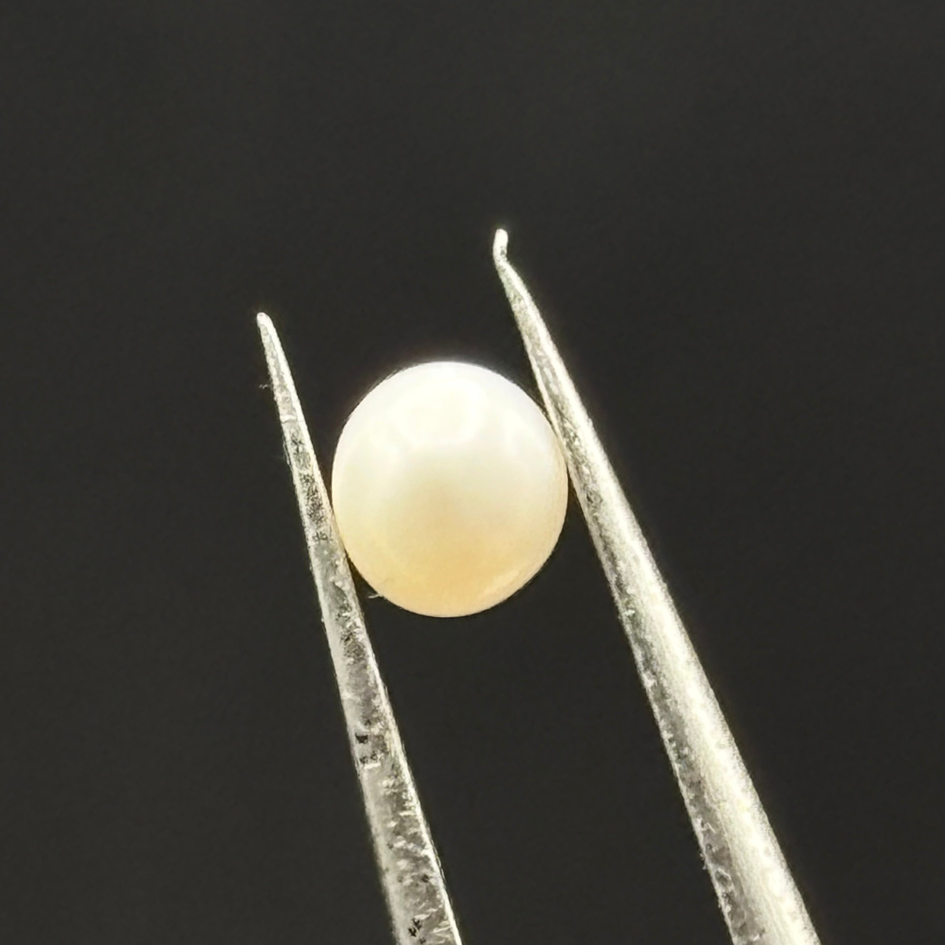 Wild Freshwater Pearl - 077