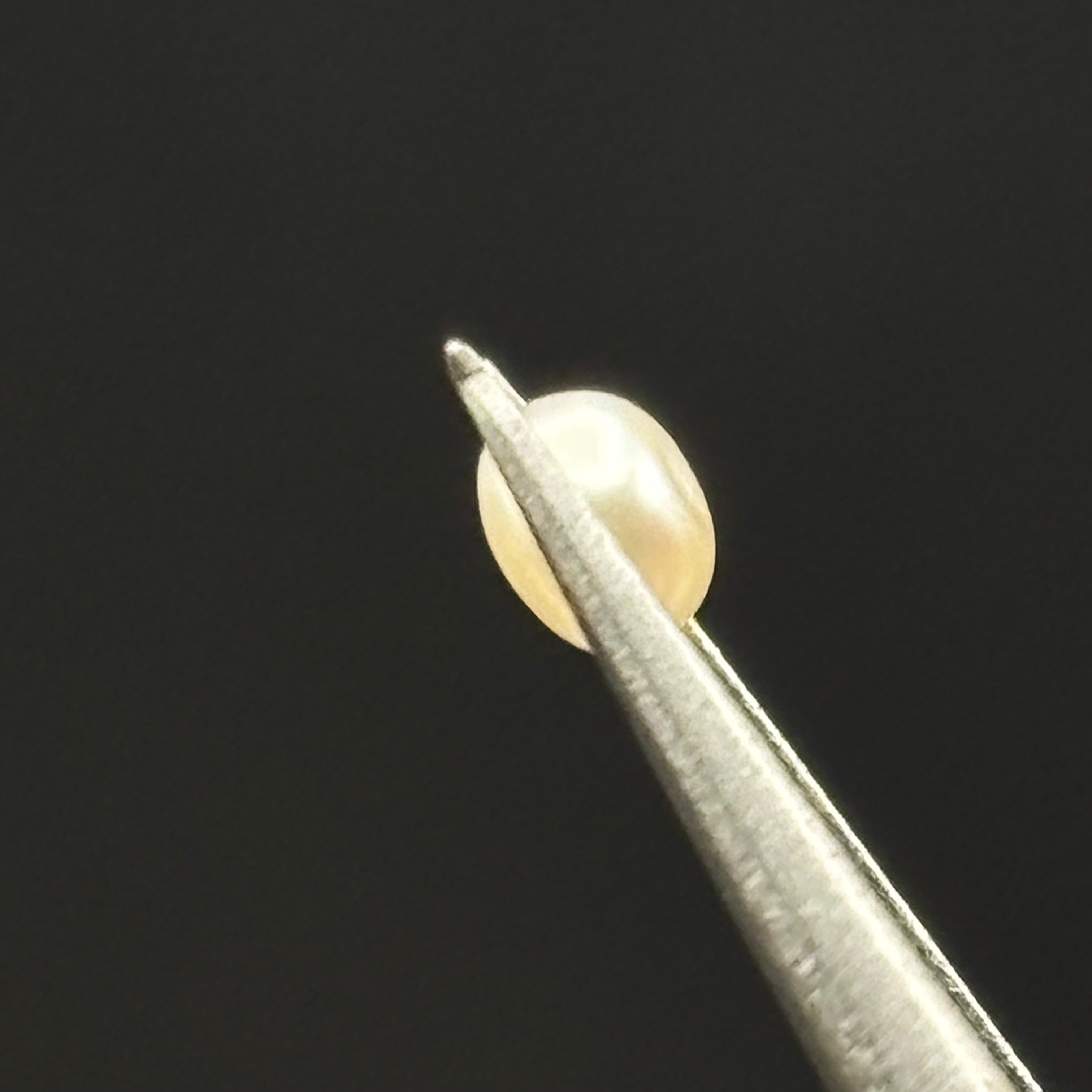 Wild Freshwater Pearl - 078