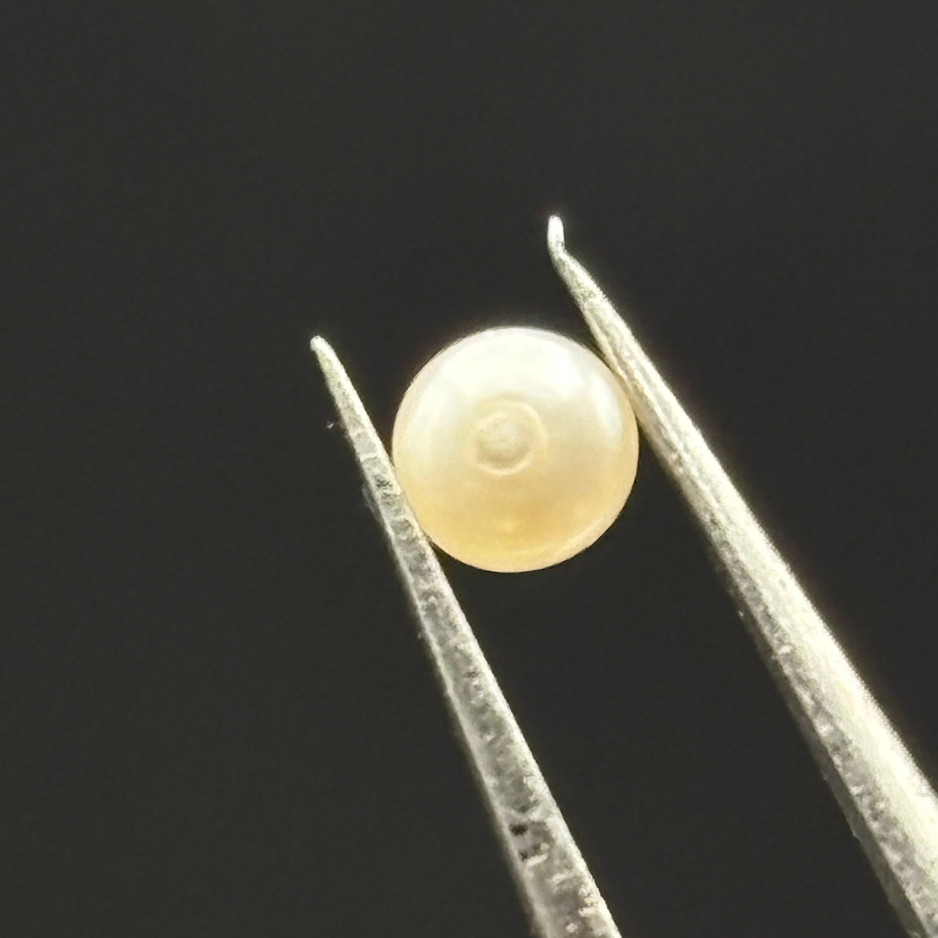 Wild Freshwater Pearl - 078