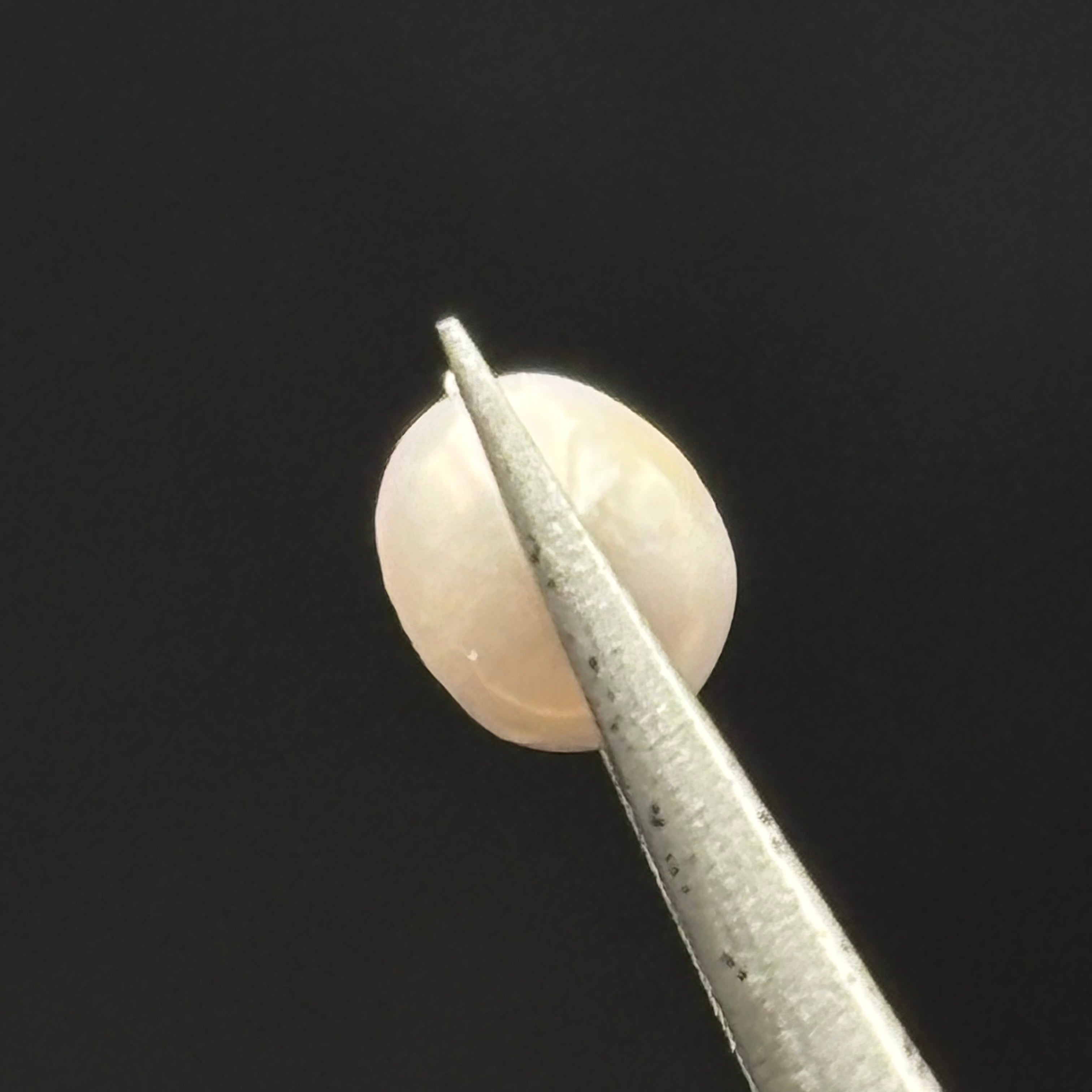 Wild Freshwater Pearl - 079