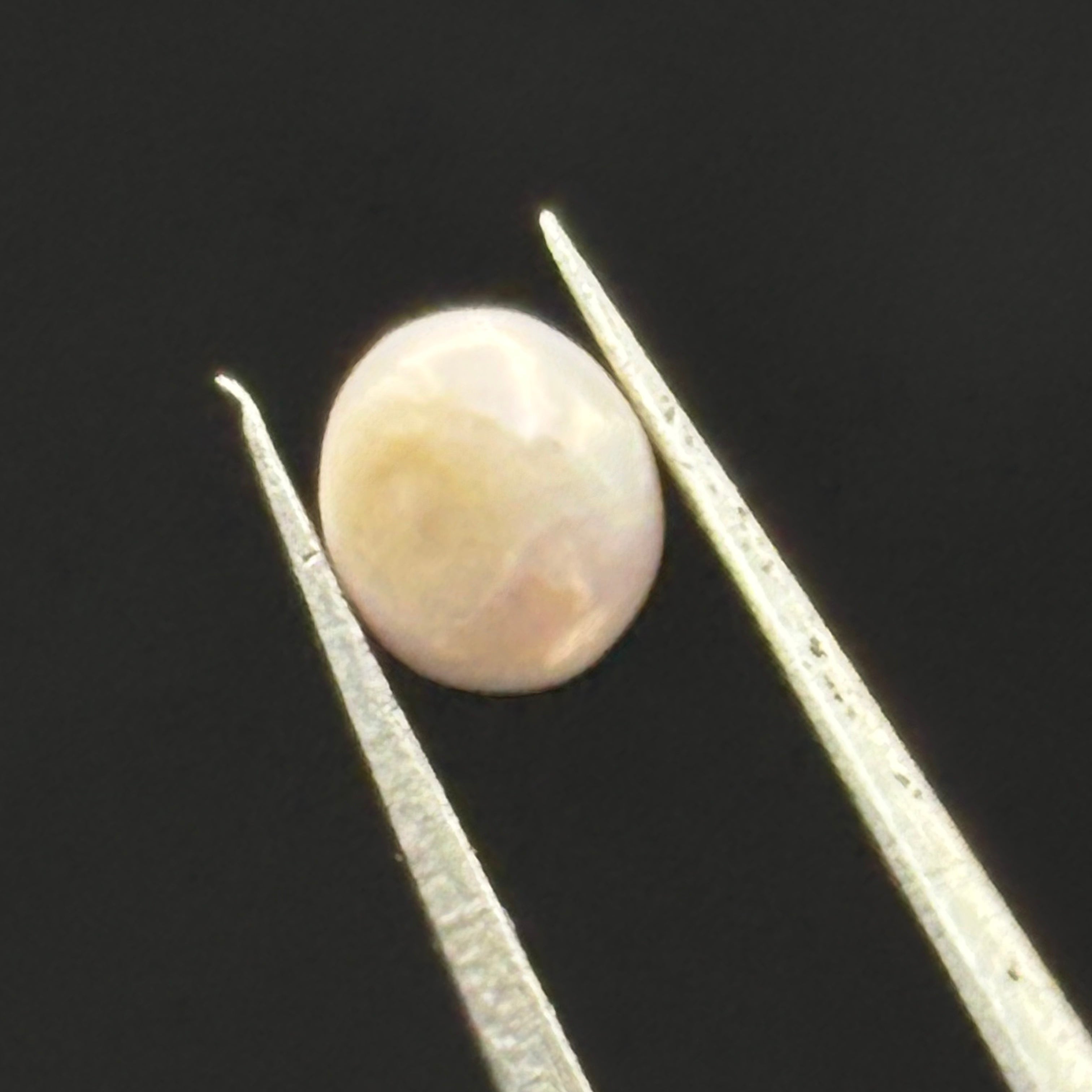 Wild Freshwater Pearl - 079