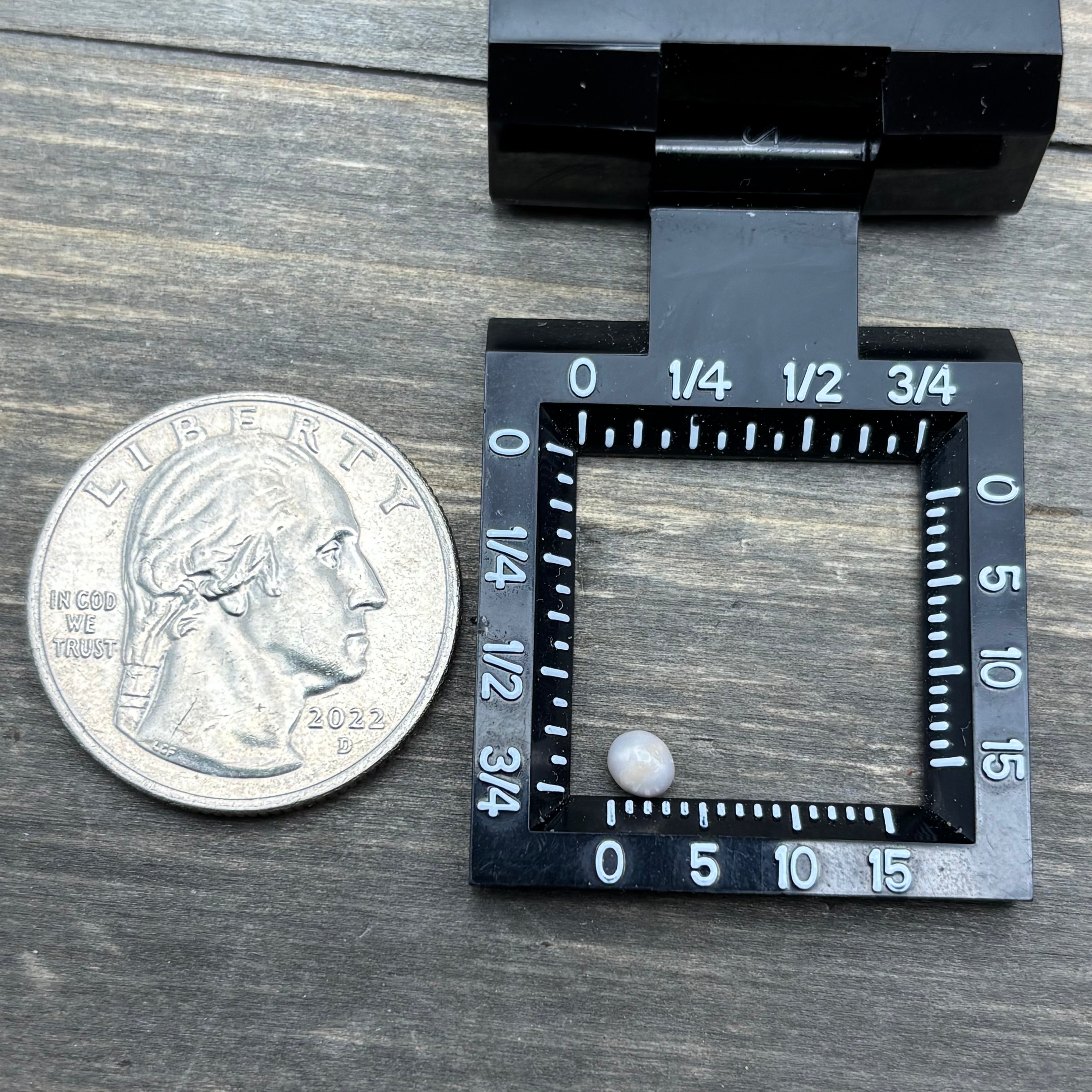 Wild Freshwater Pearl - 079