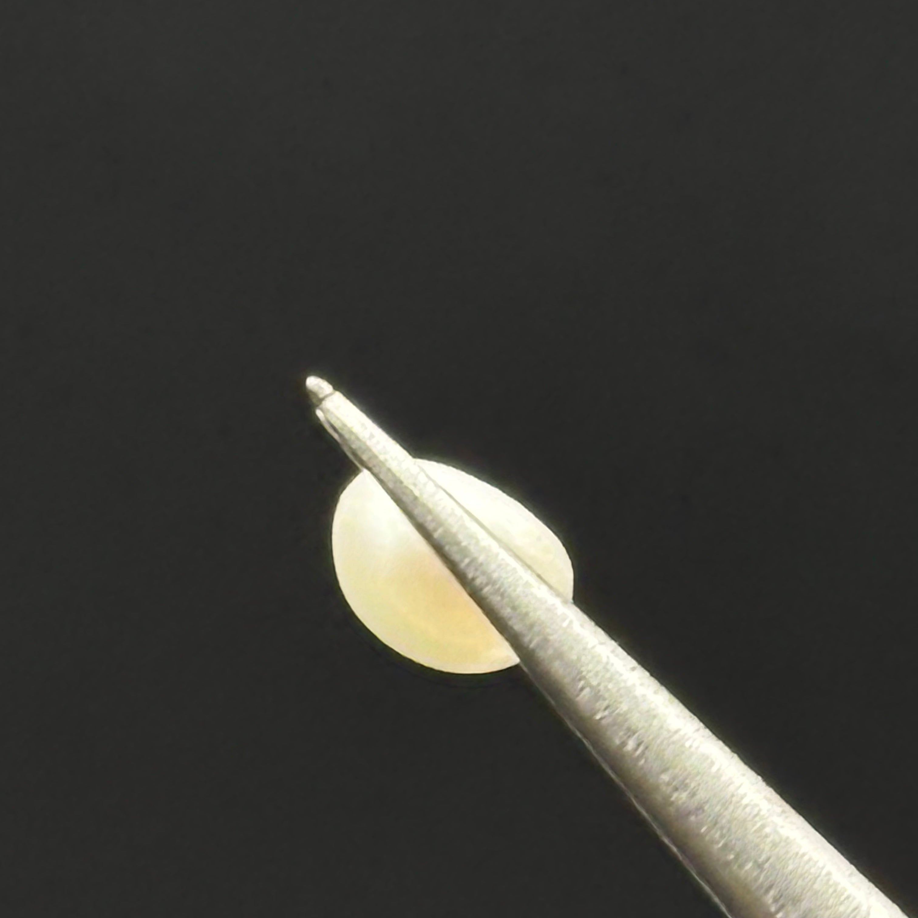 Wild Freshwater Pearl - 080