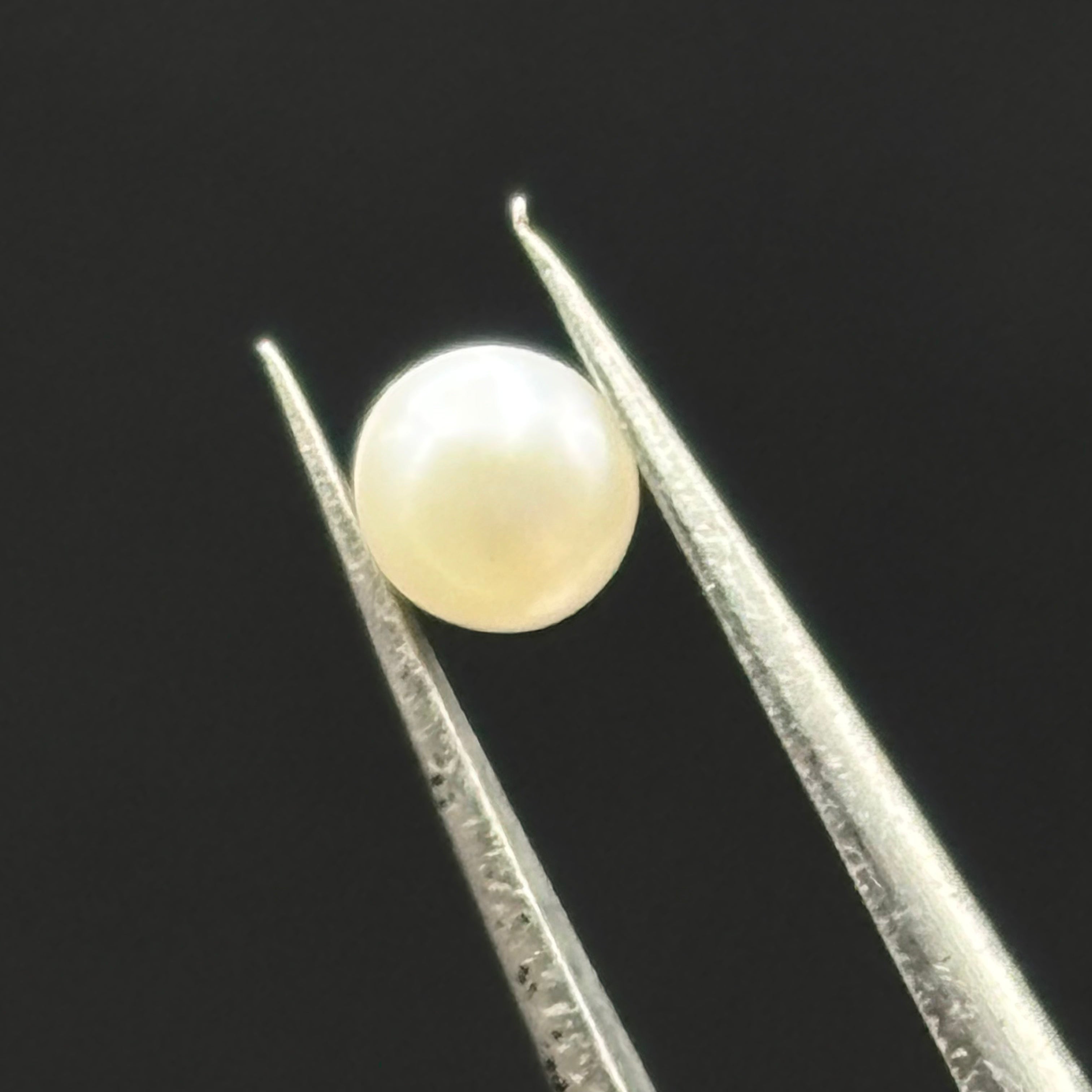 Wild Freshwater Pearl - 080