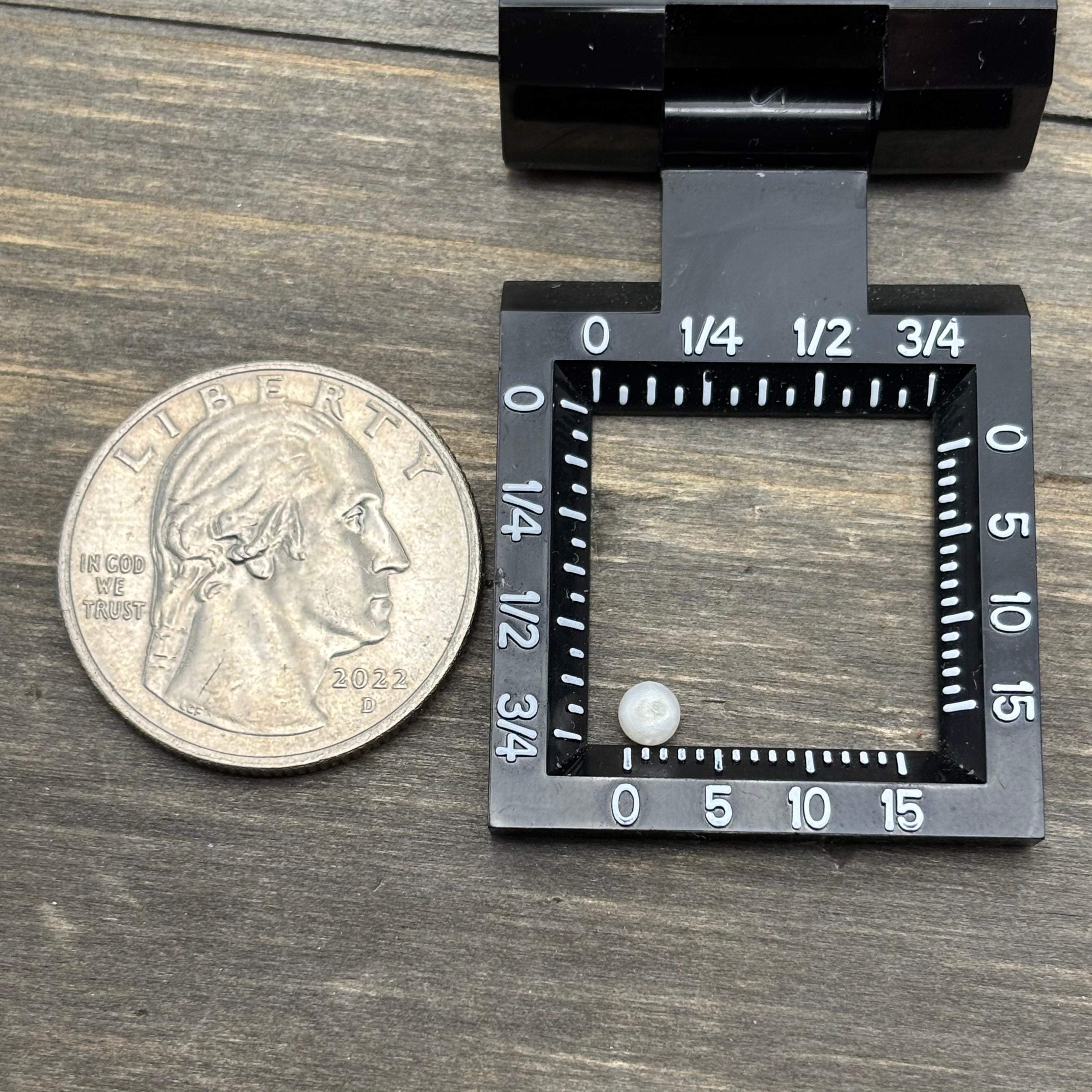 Wild Freshwater Pearl - 080