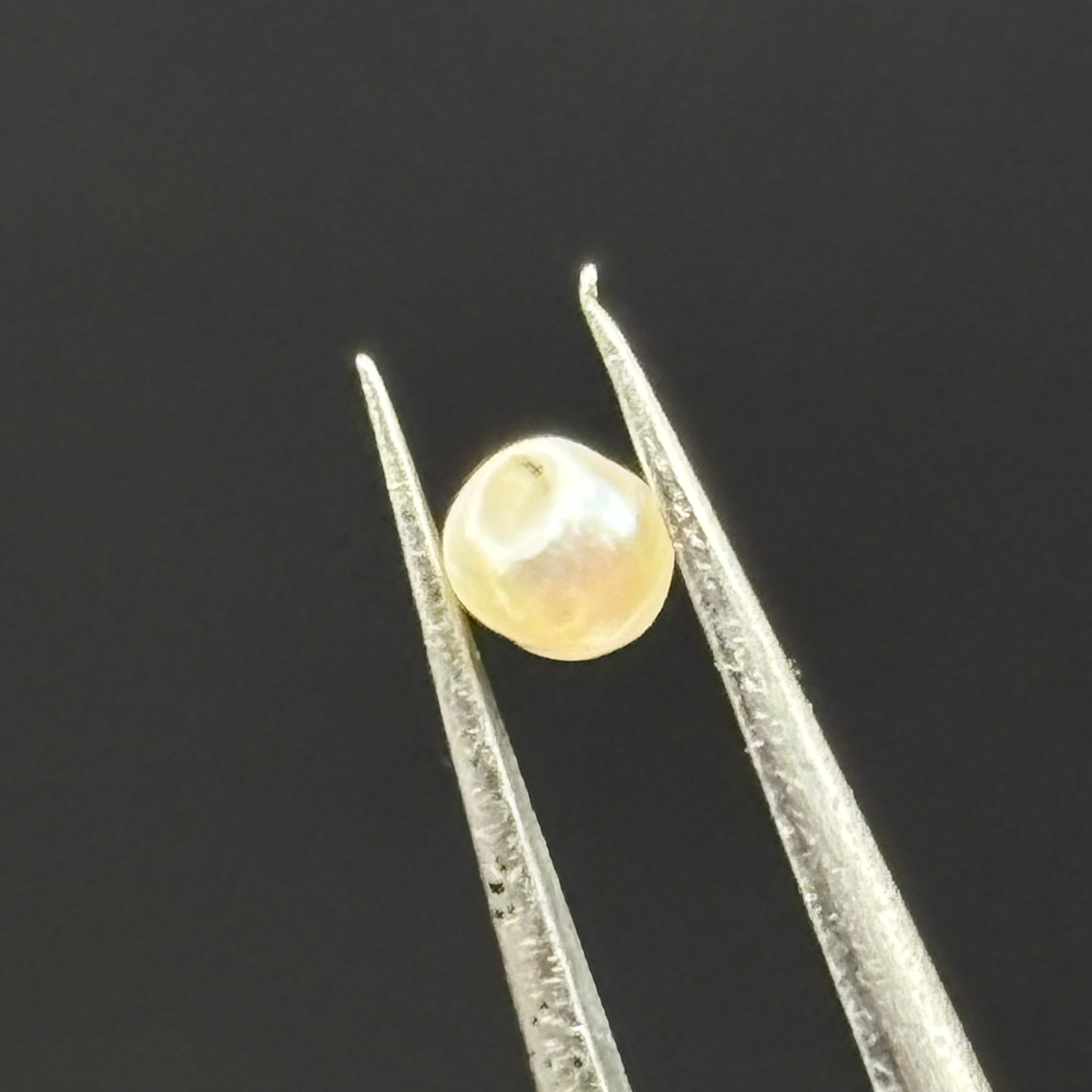 Wild Freshwater Pearl - 081