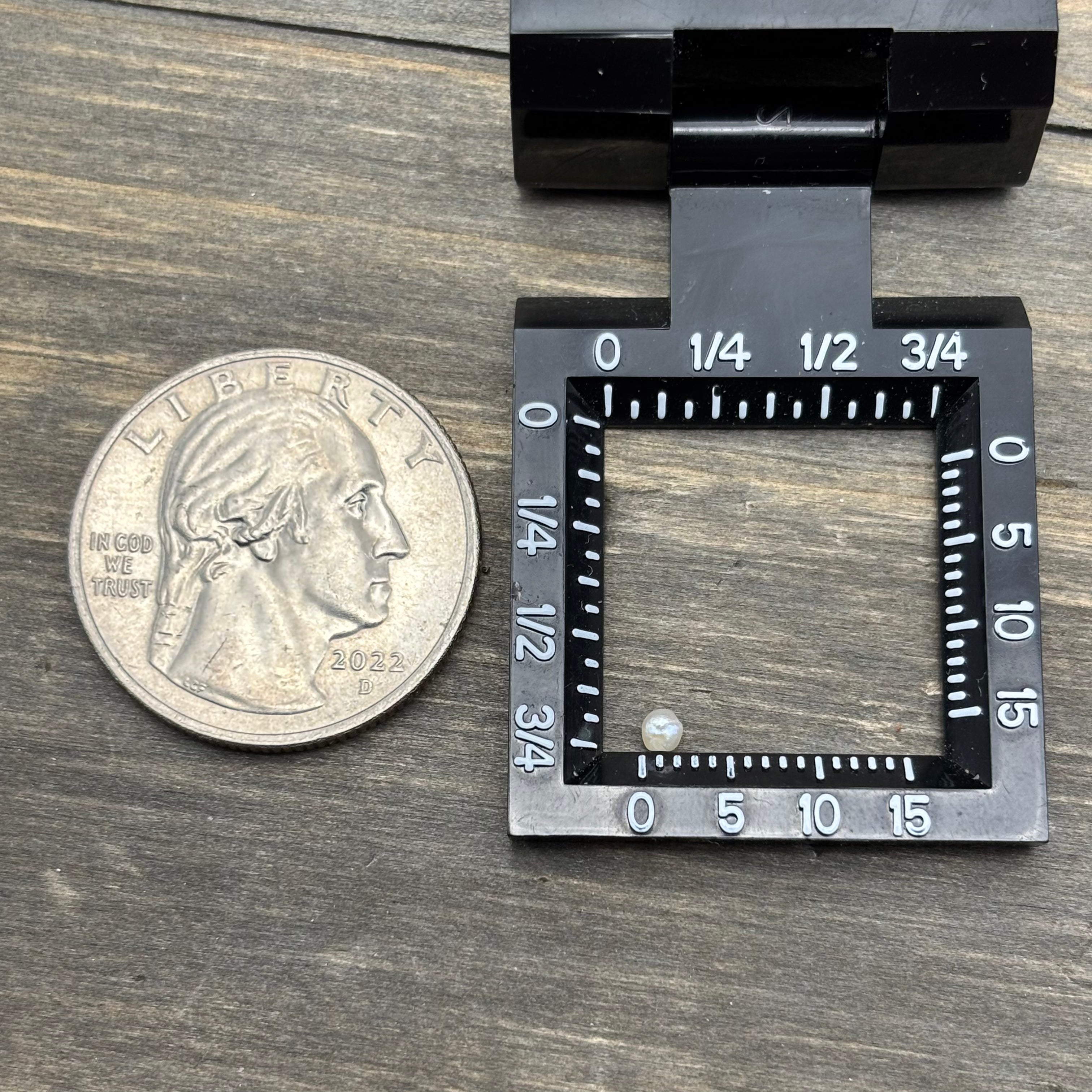 Wild Freshwater Pearl - 081