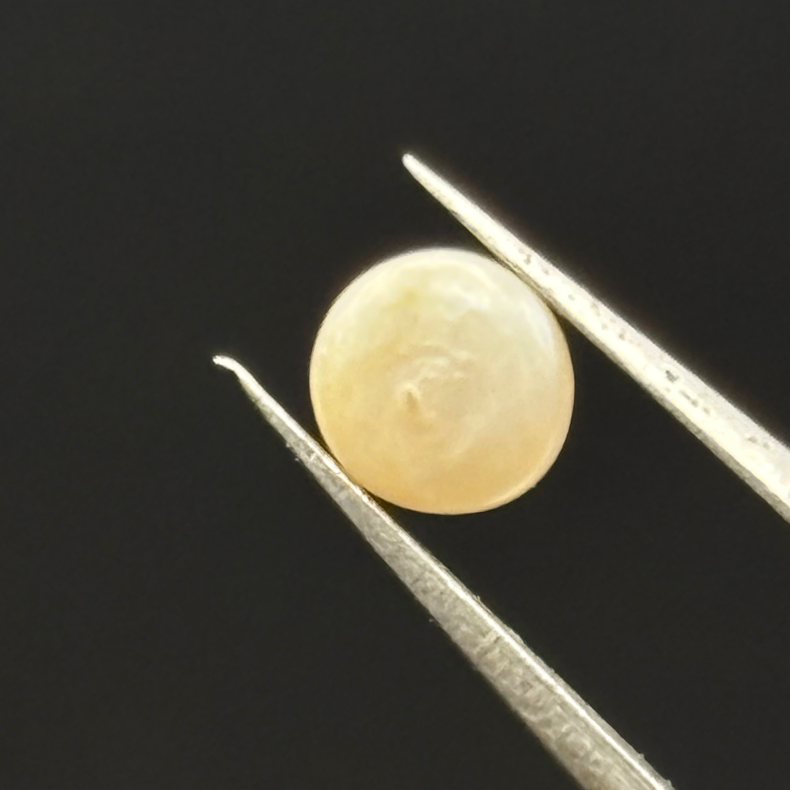 Wild Freshwater Pearl - 082