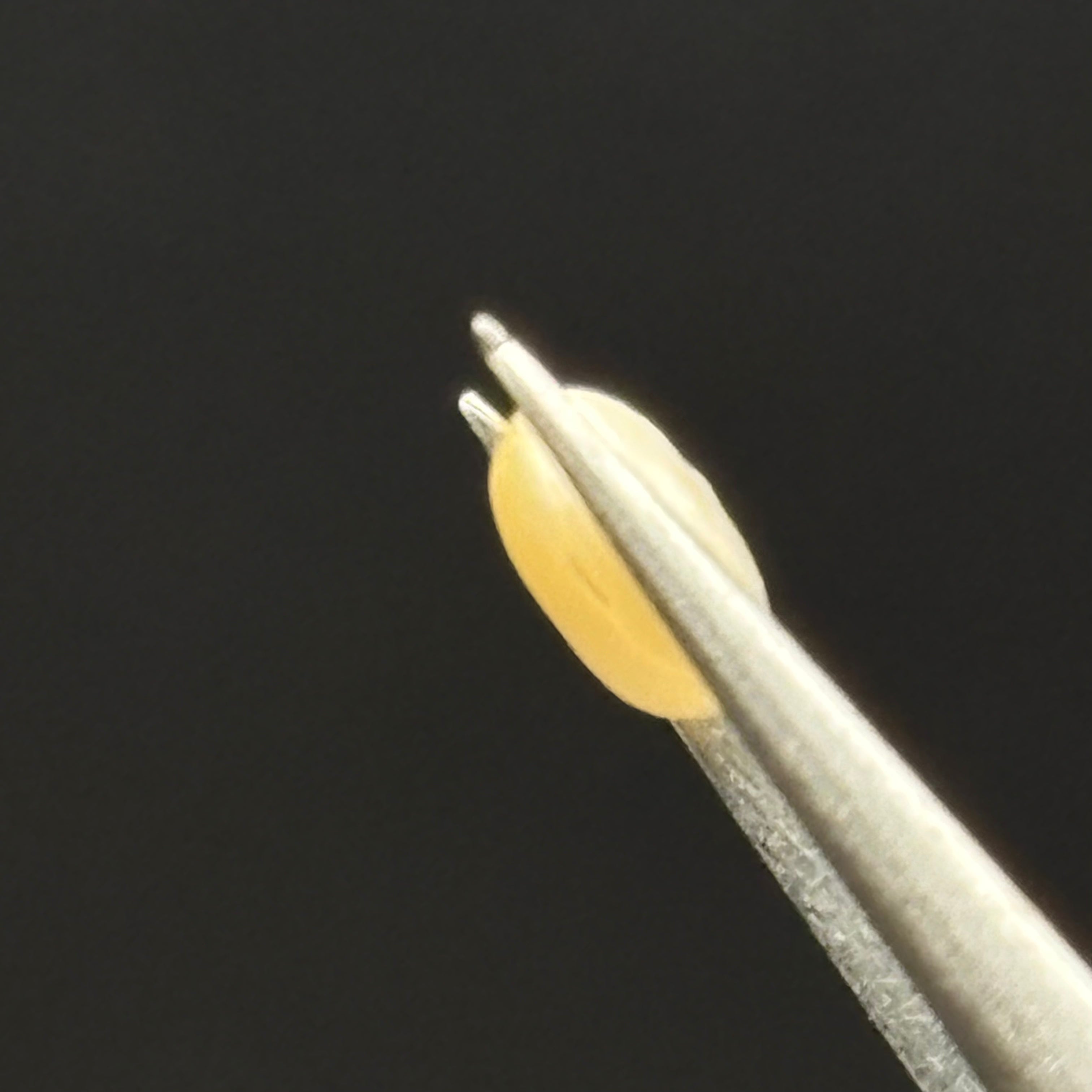 Wild Freshwater Pearl - 082