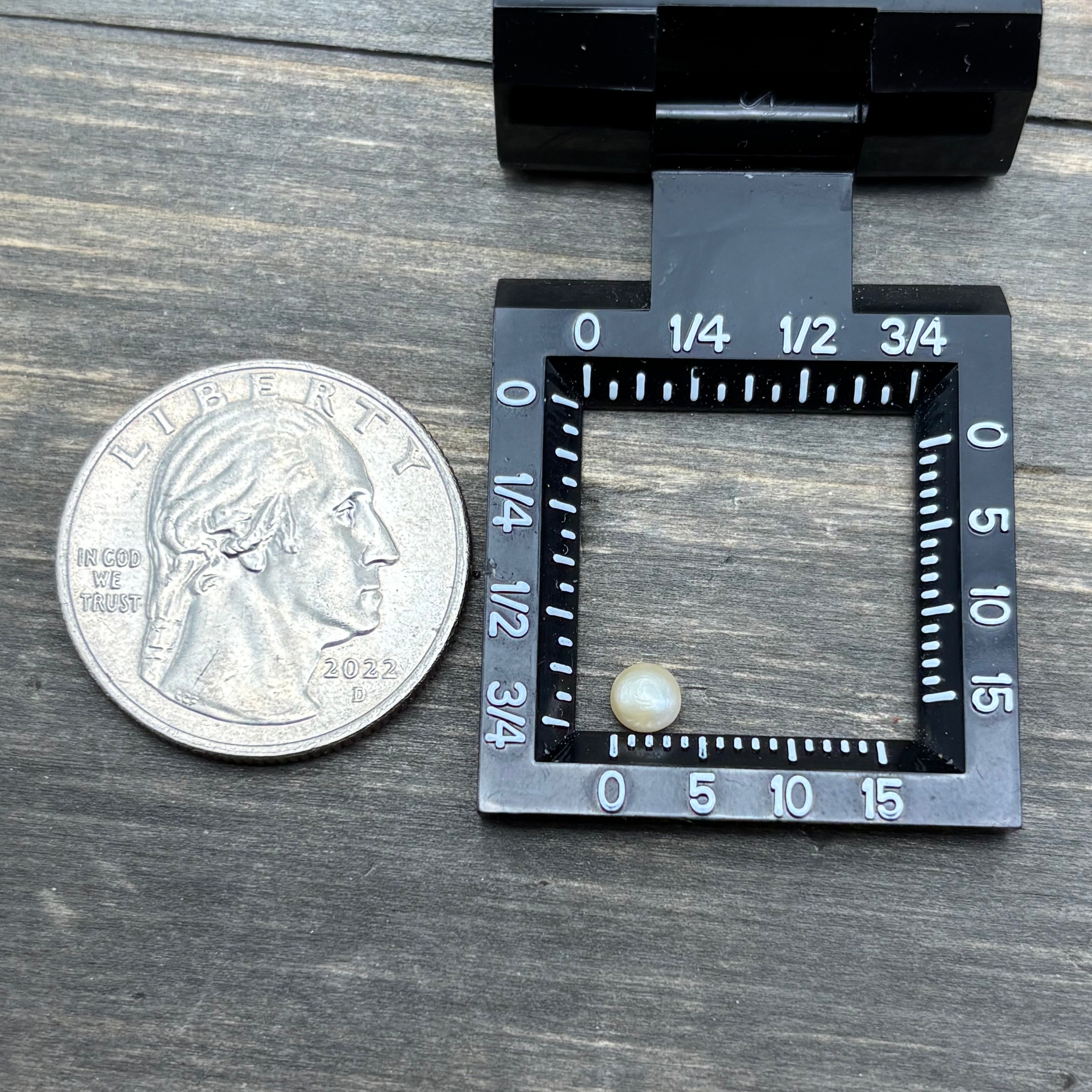 Wild Freshwater Pearl - 082