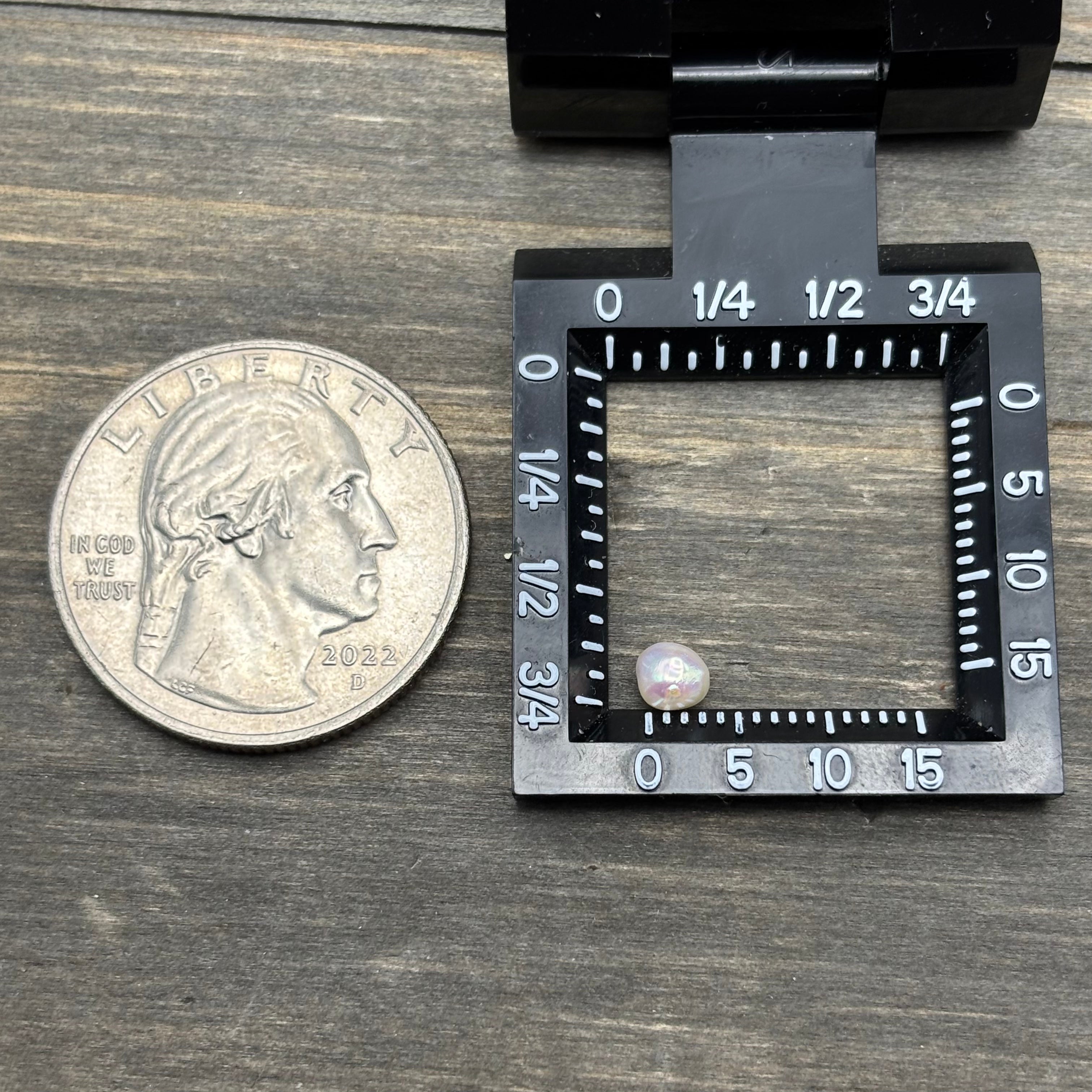 Wild Freshwater Pearl - 083