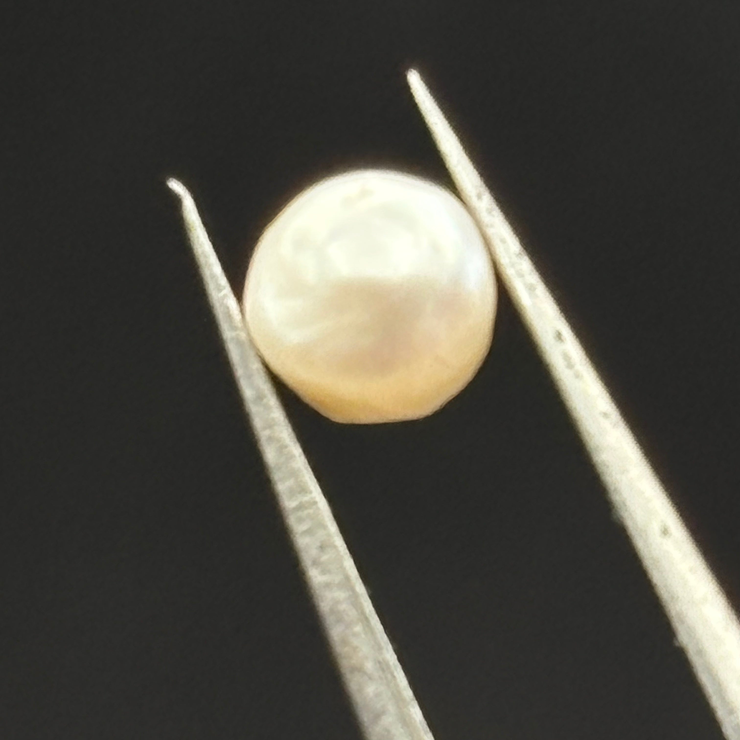 Wild Freshwater Pearl - 085