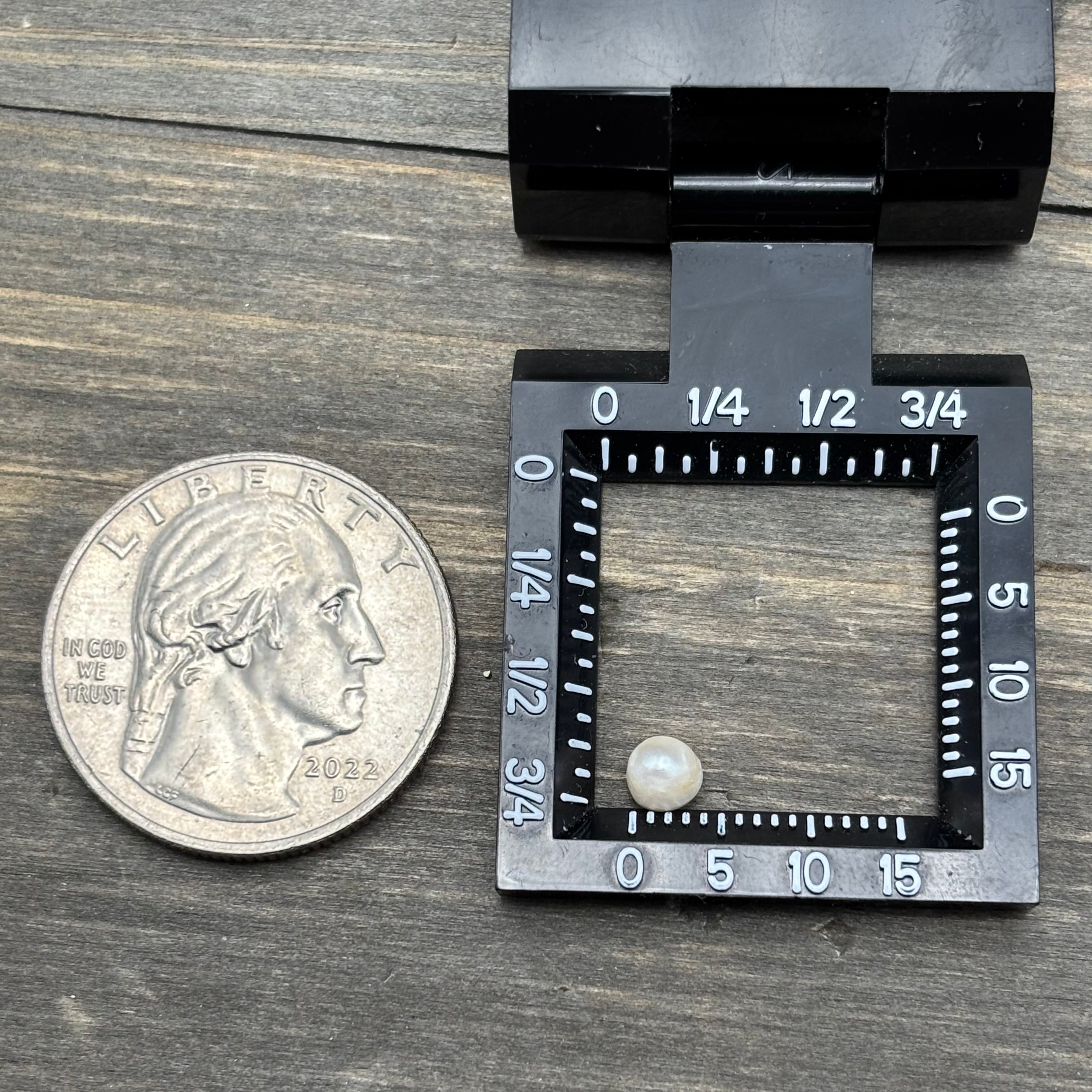 Wild Freshwater Pearl - 085