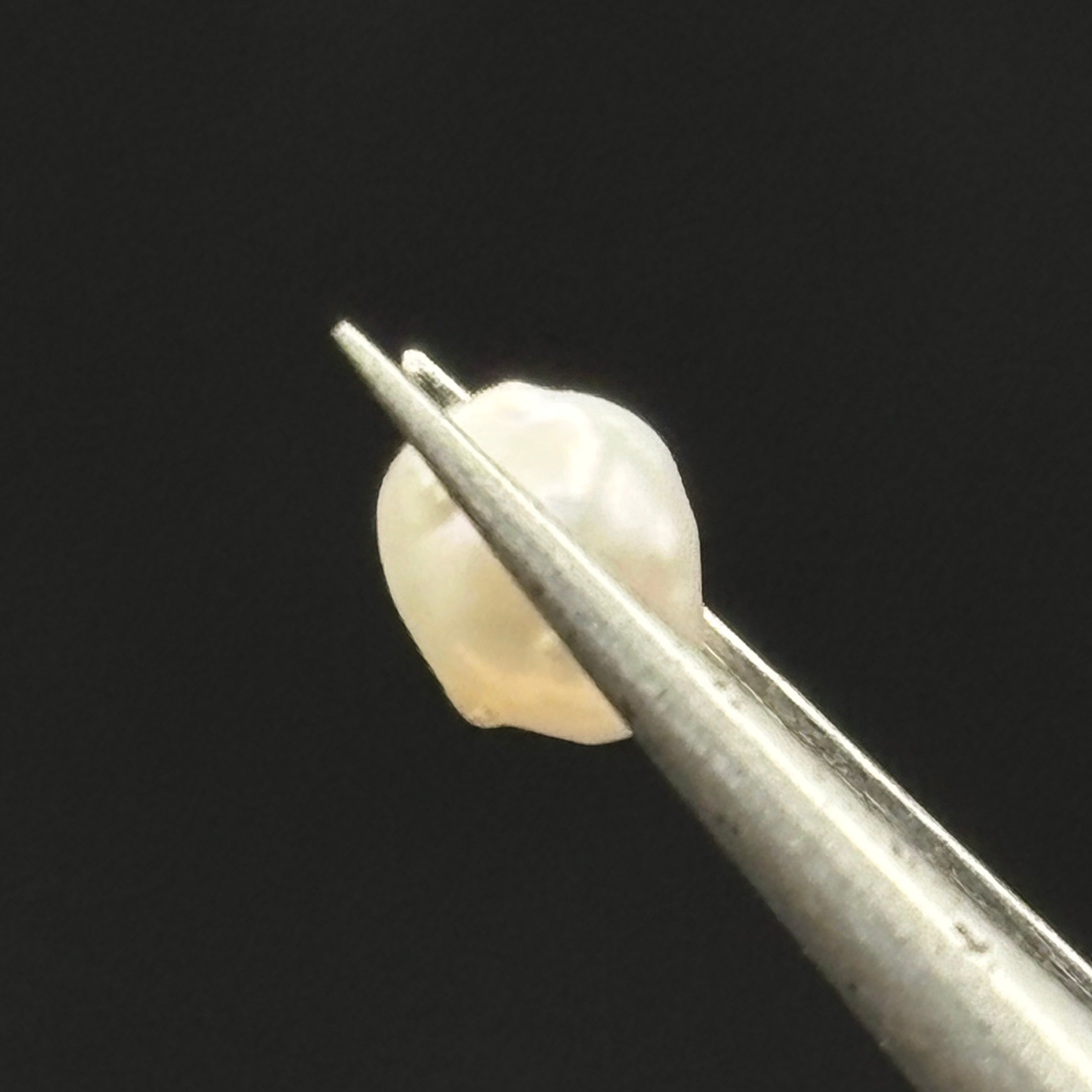 Wild Freshwater Pearl - 086