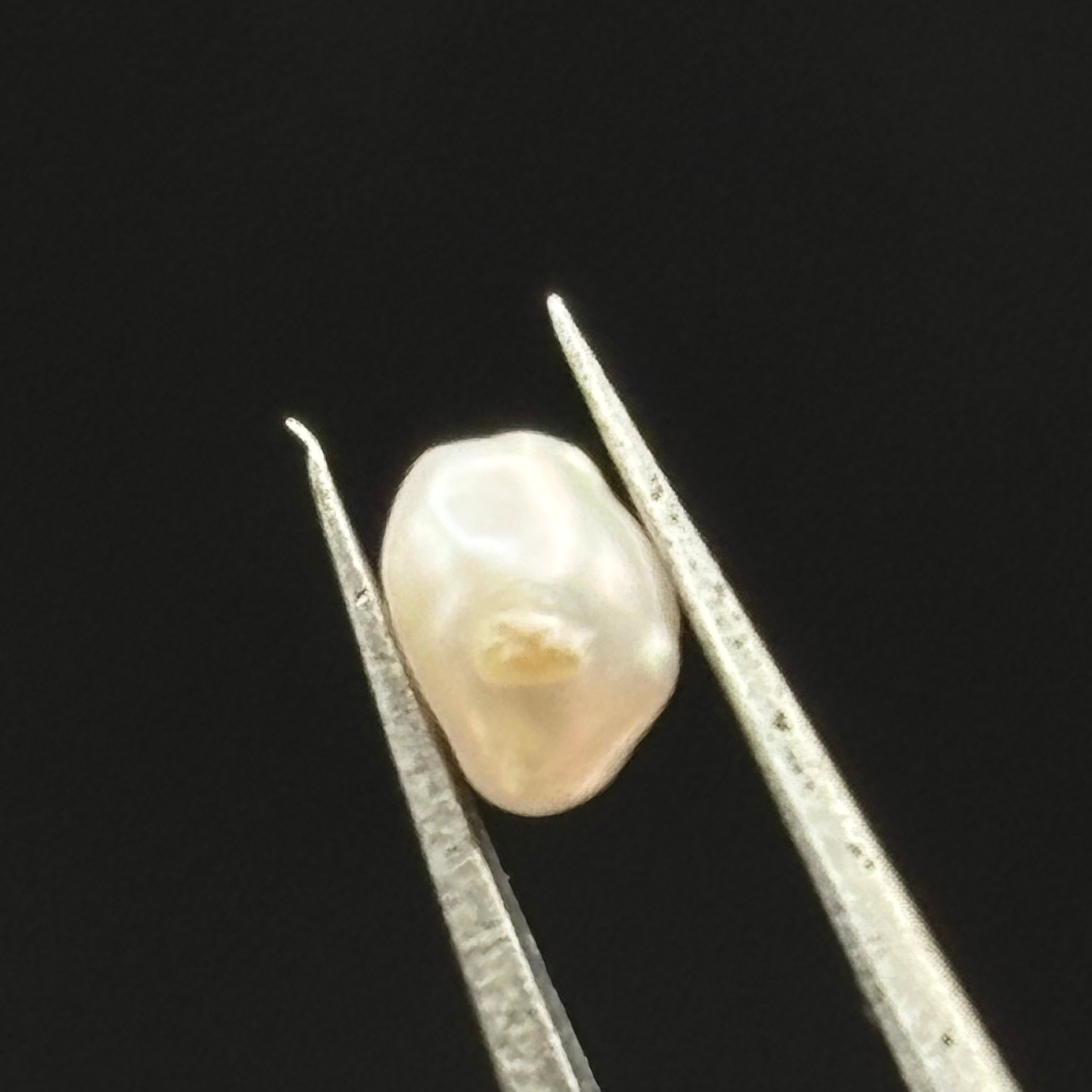 Wild Freshwater Pearl - 086