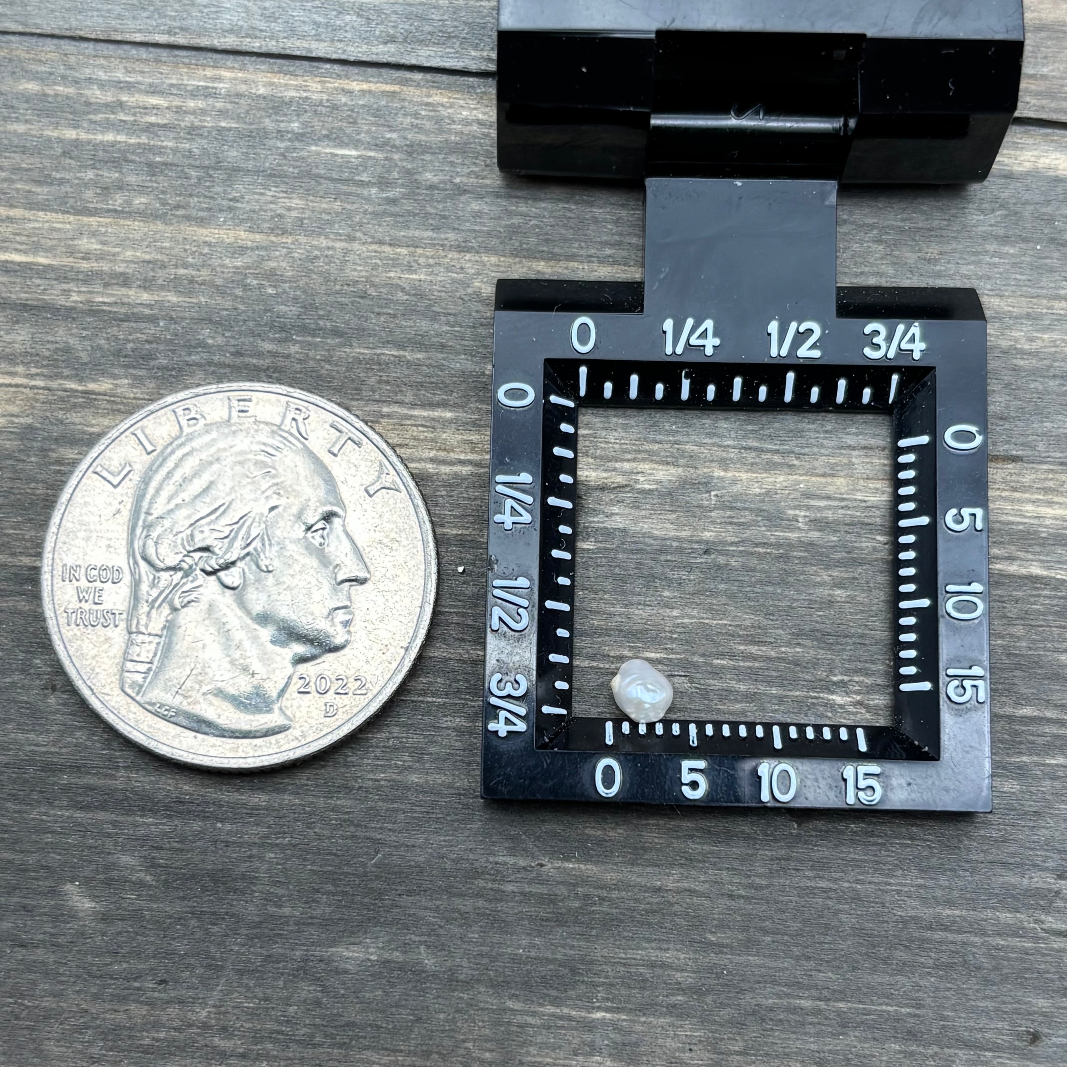 Wild Freshwater Pearl - 086