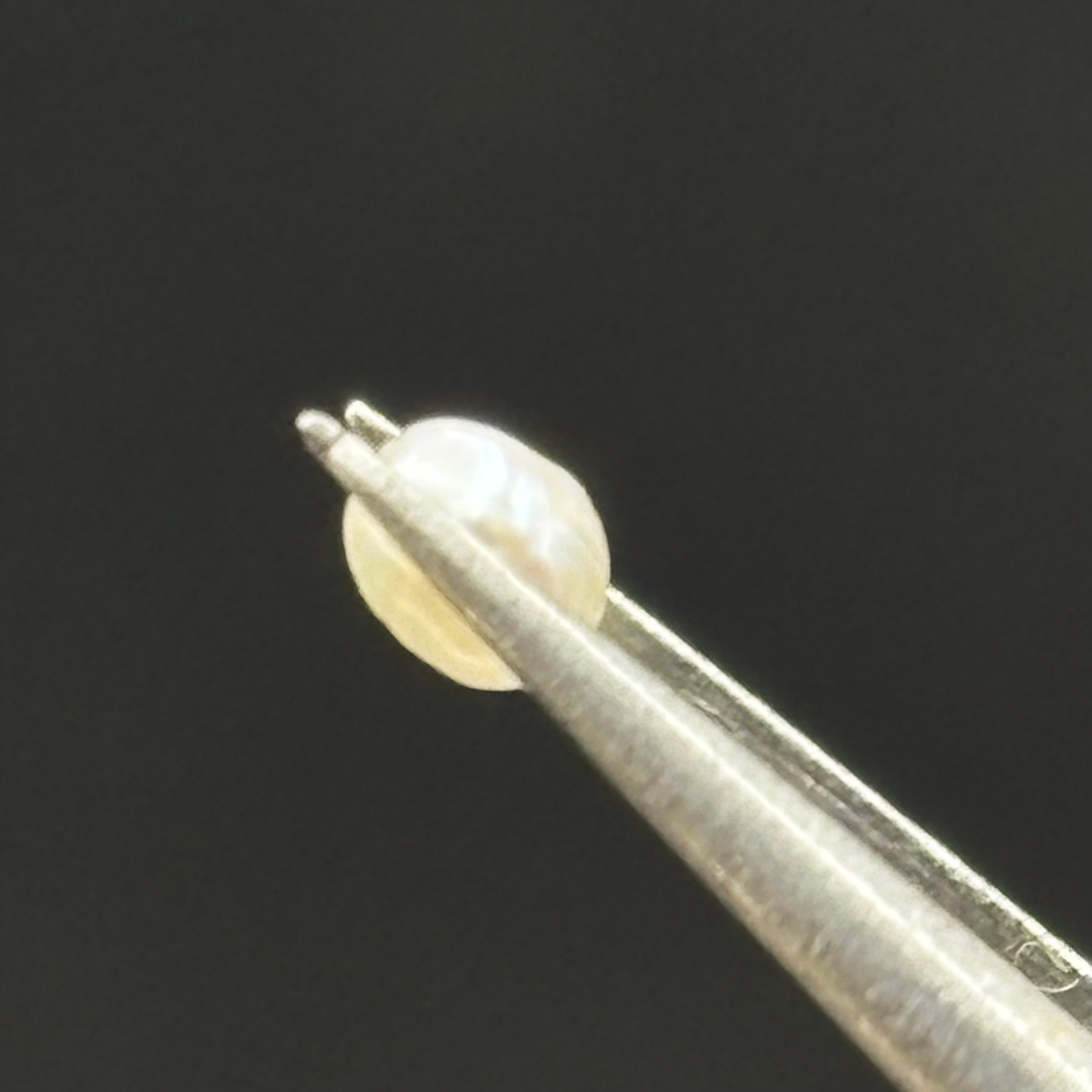 Wild Freshwater Pearl - 087