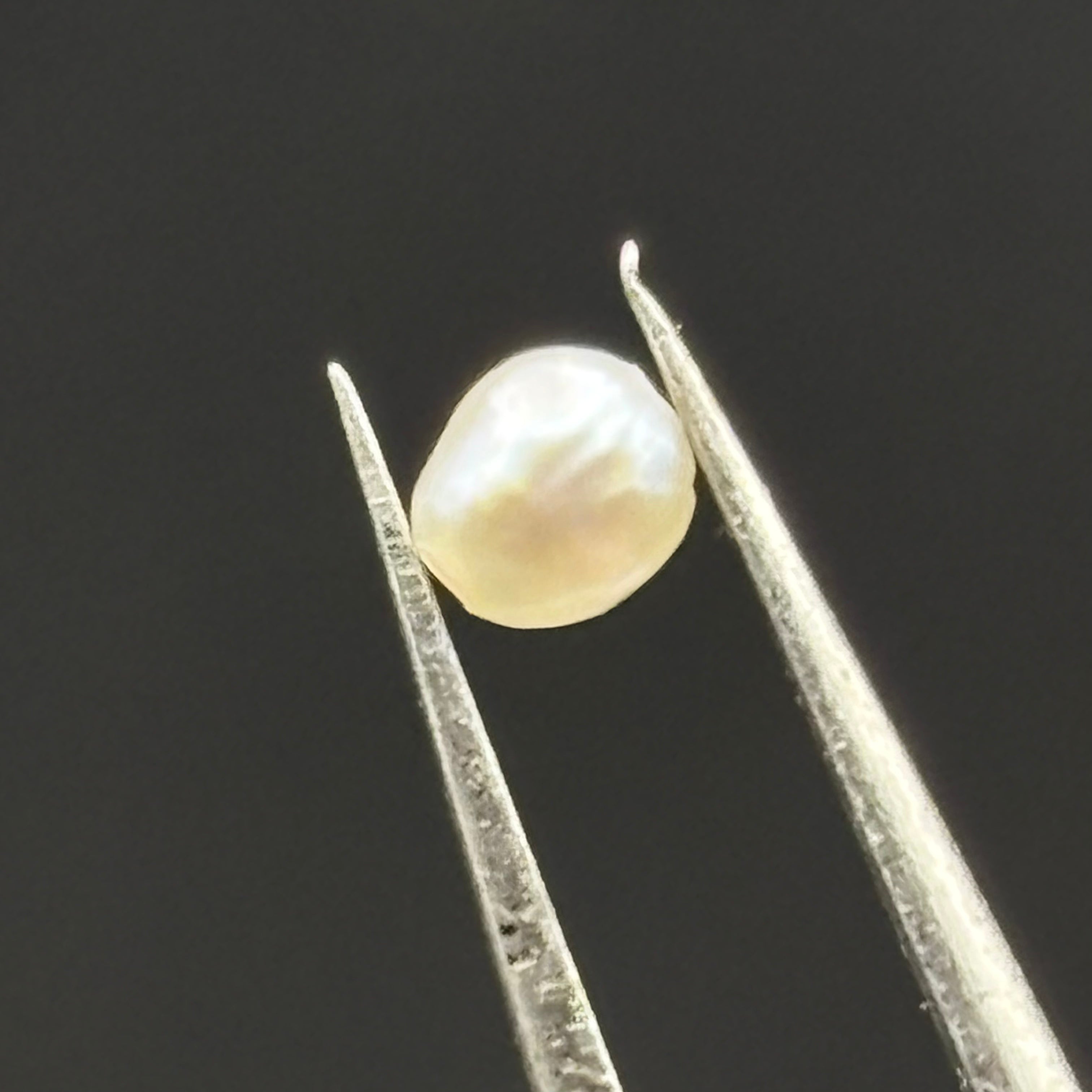 Wild Freshwater Pearl - 087