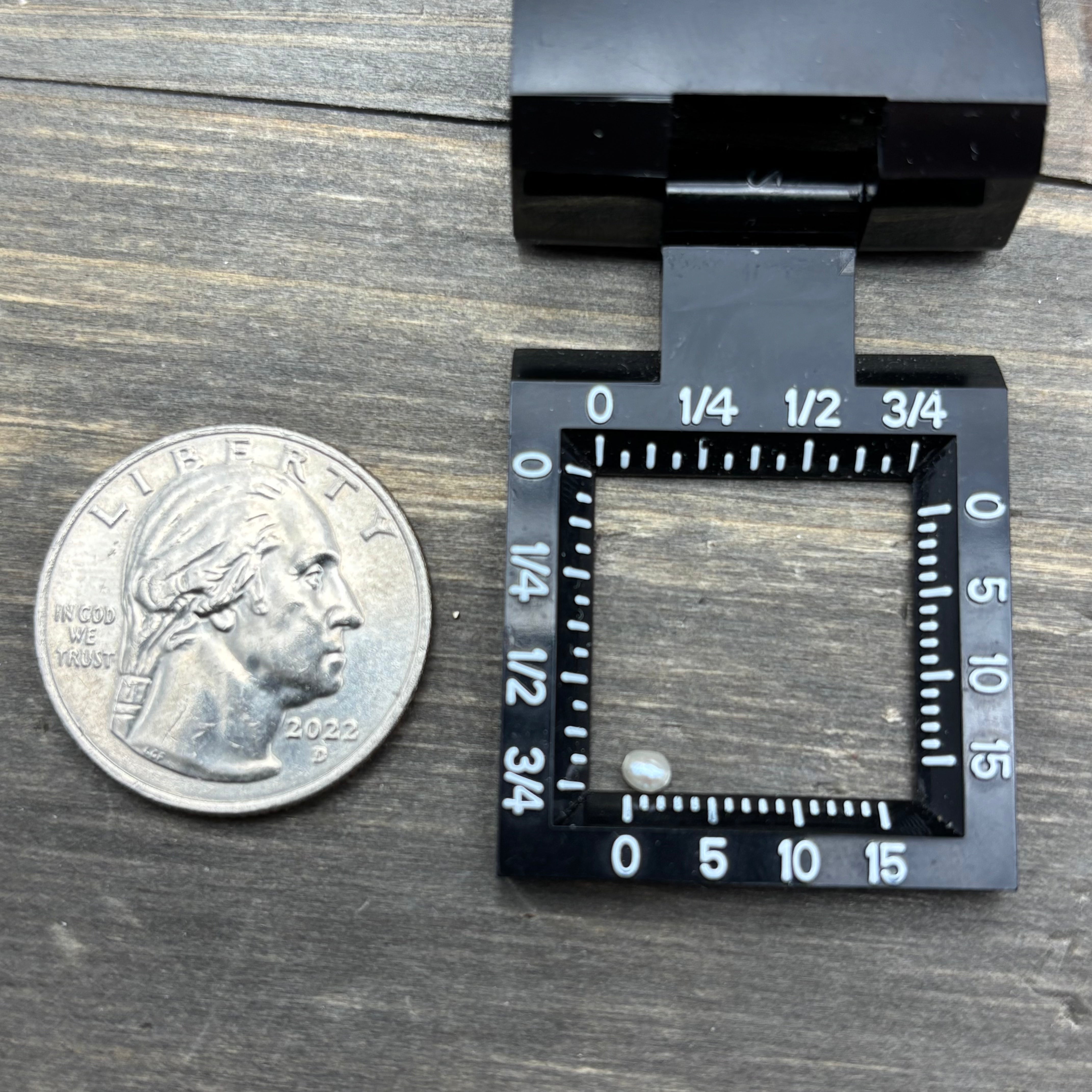 Wild Freshwater Pearl - 087