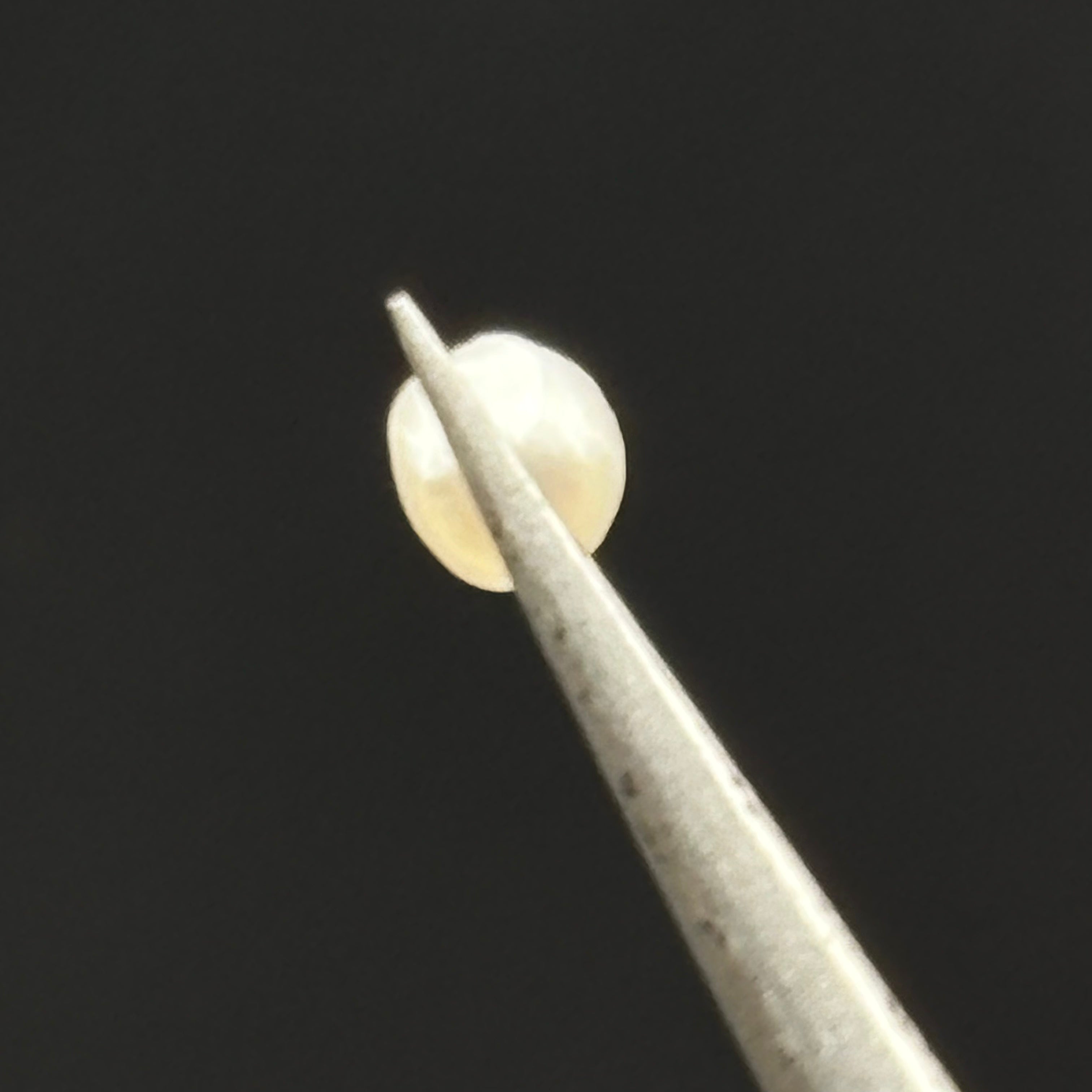 Wild Freshwater Pearl - 089