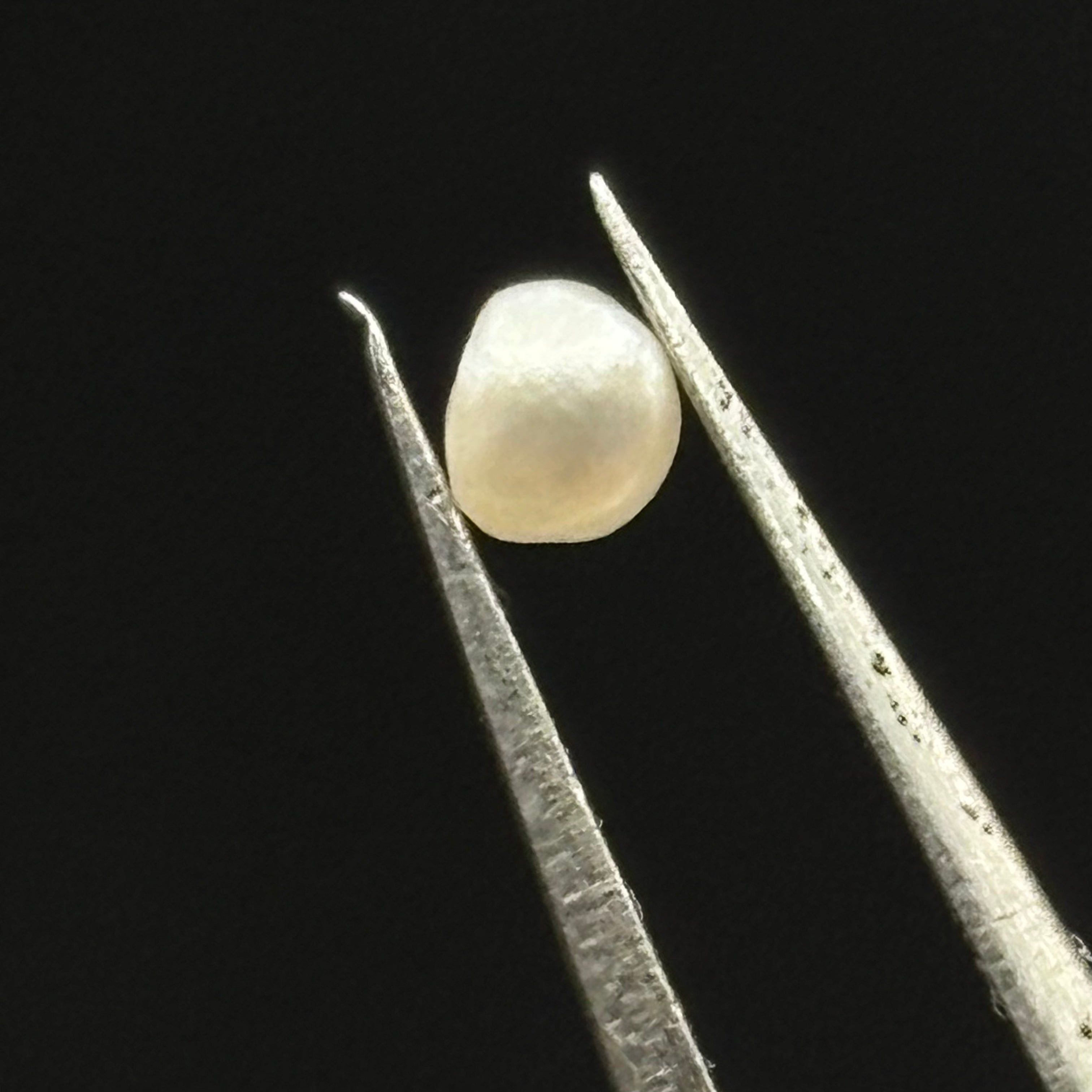 Wild Freshwater Pearl - 089