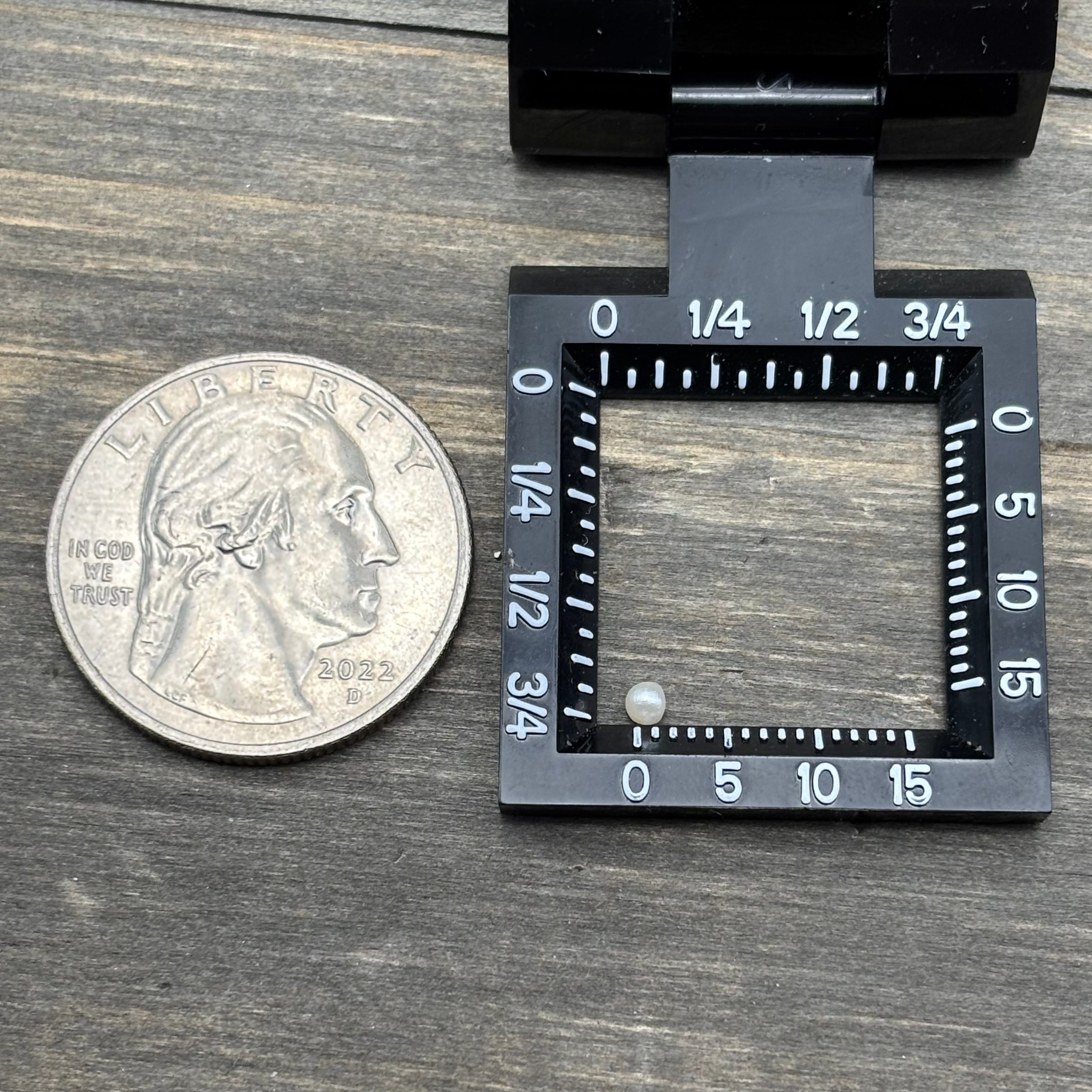 Wild Freshwater Pearl - 089