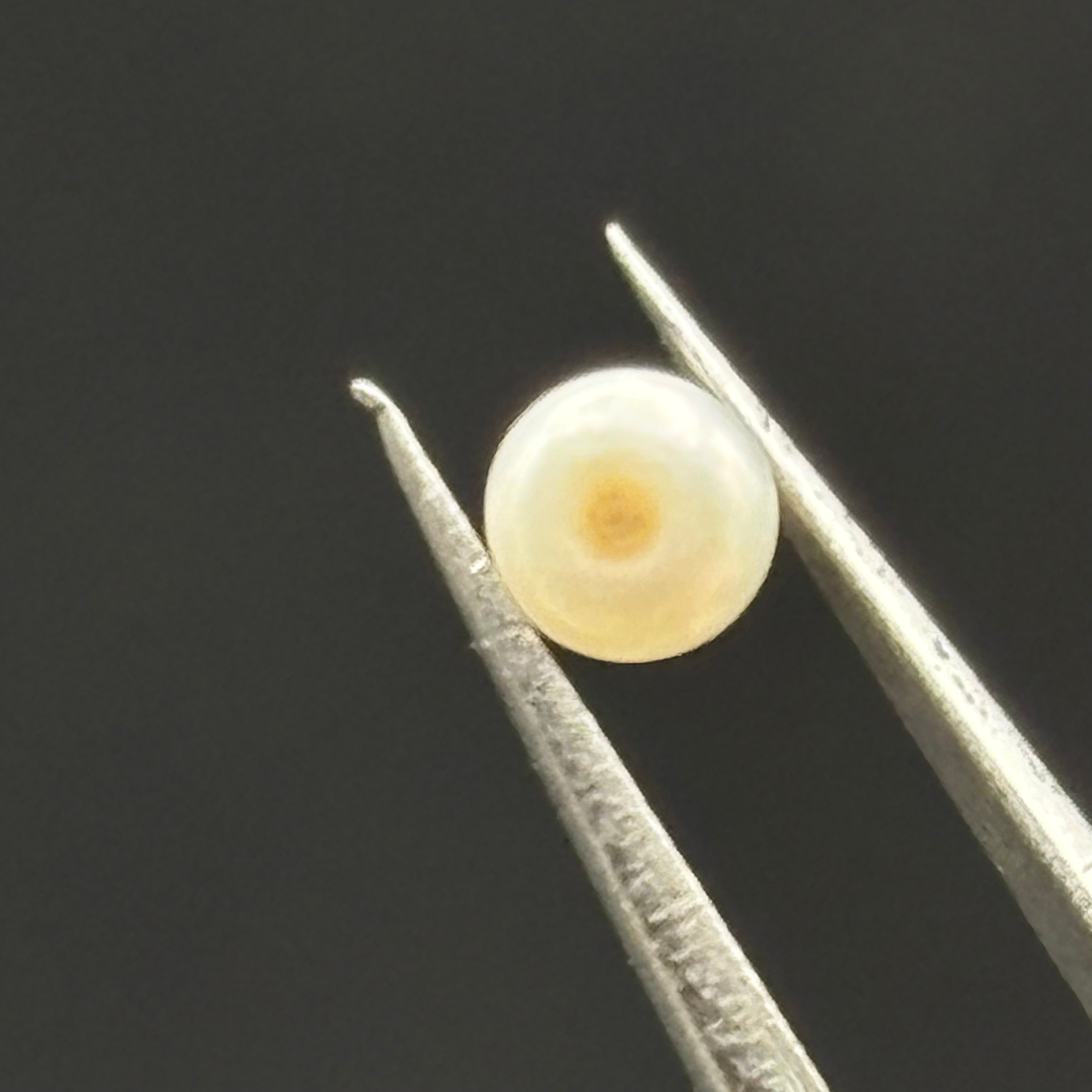 Wild Freshwater Pearl - 093