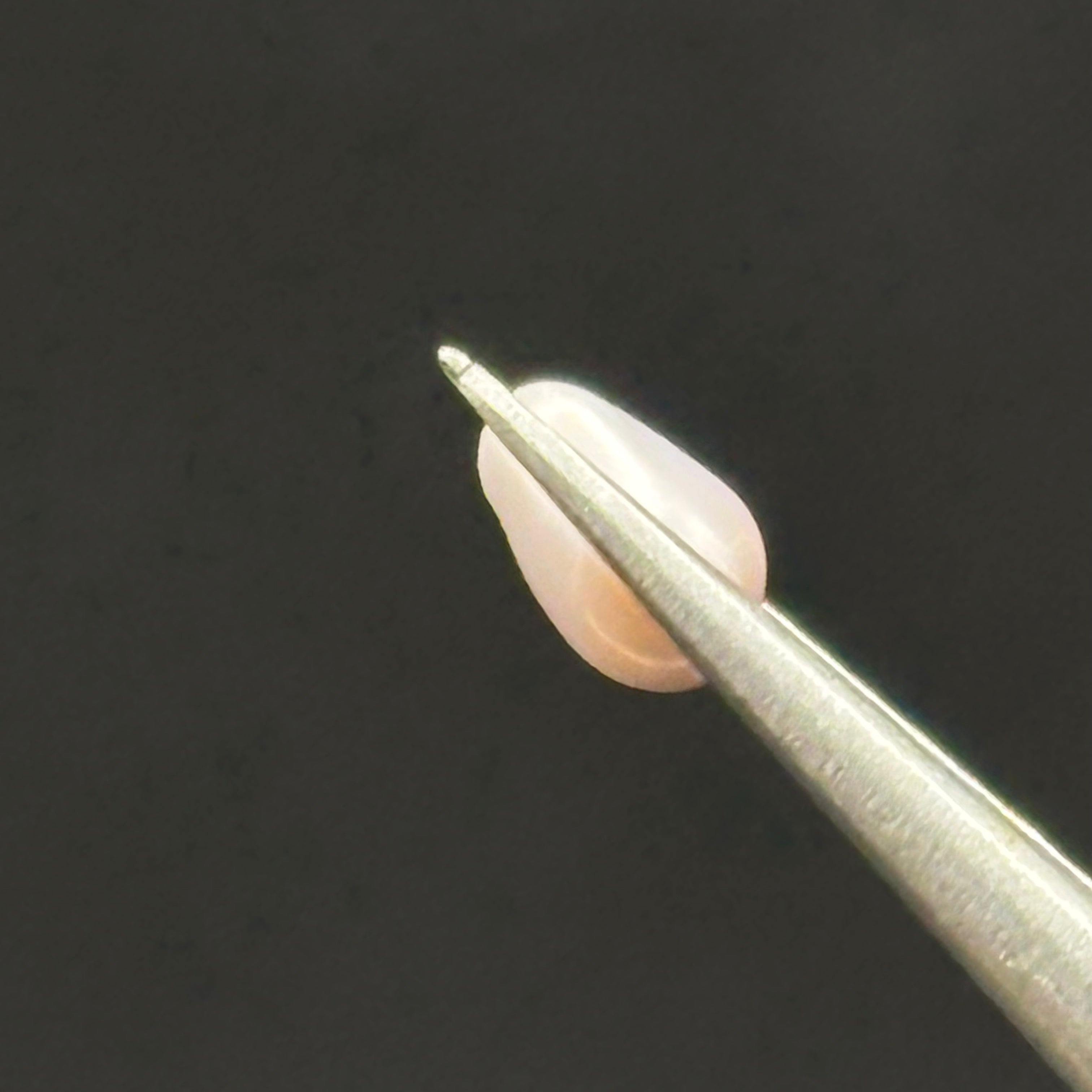 Wild Freshwater Pearl - 096