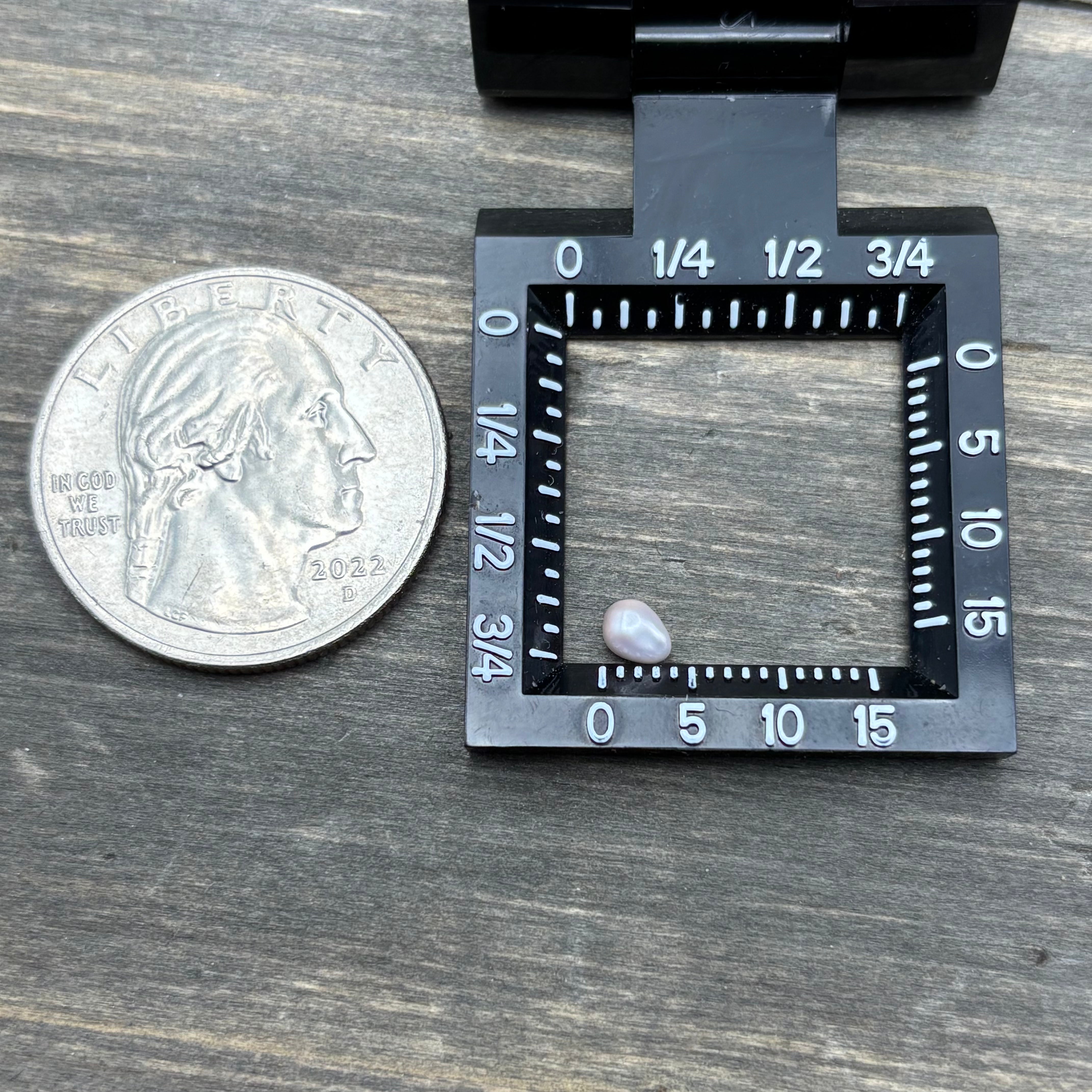 Wild Freshwater Pearl - 096