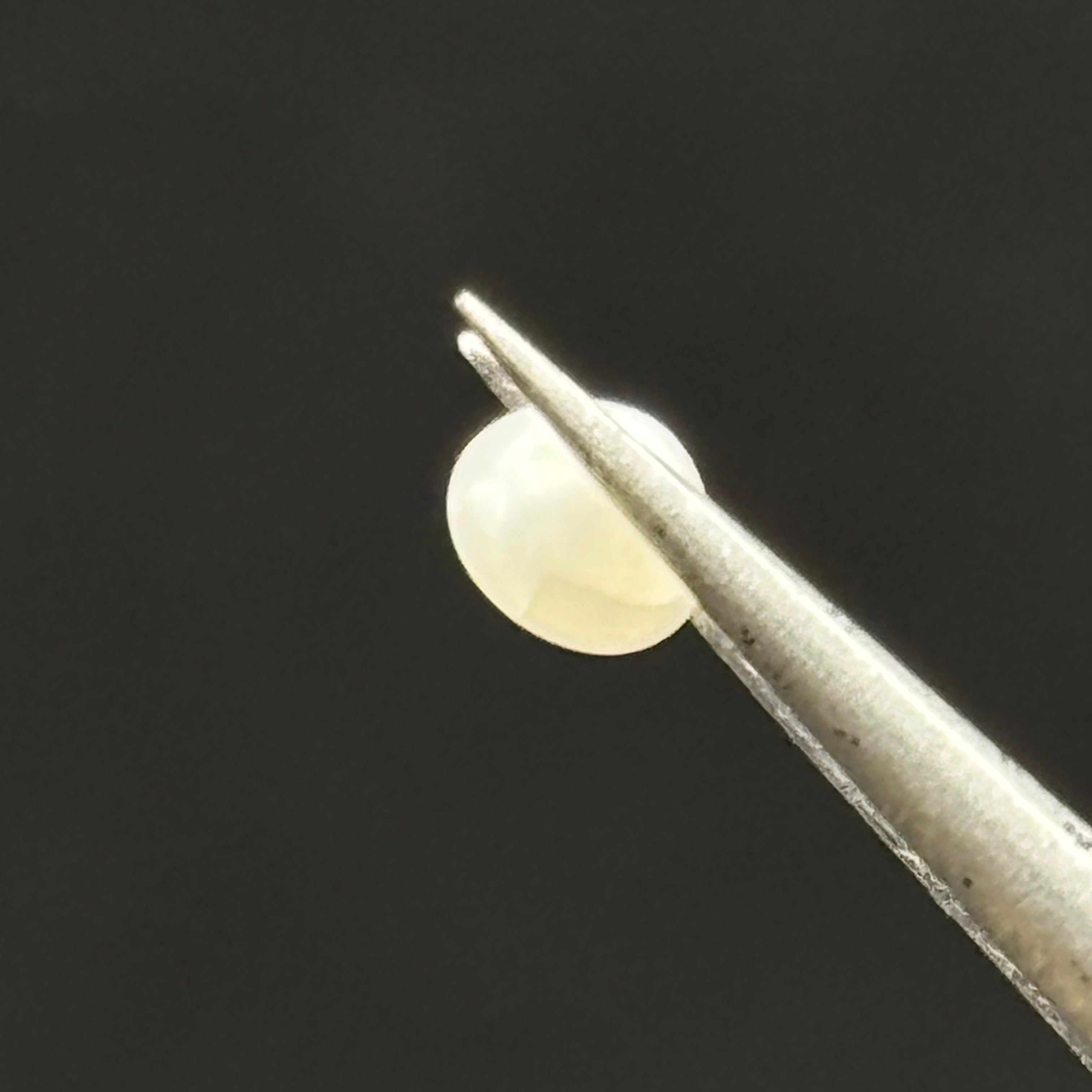 Wild Freshwater Pearl - 101