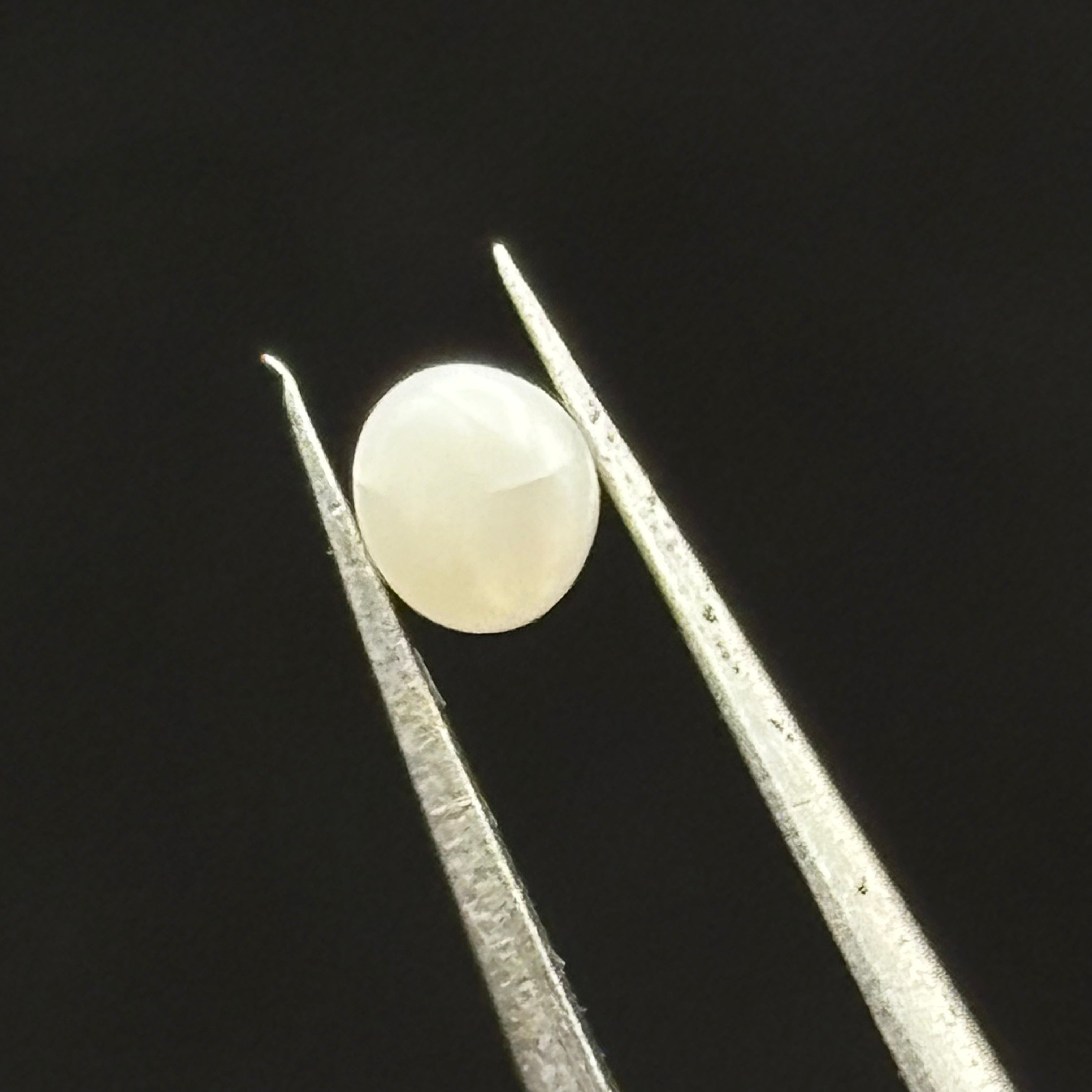 Wild Freshwater Pearl - 101