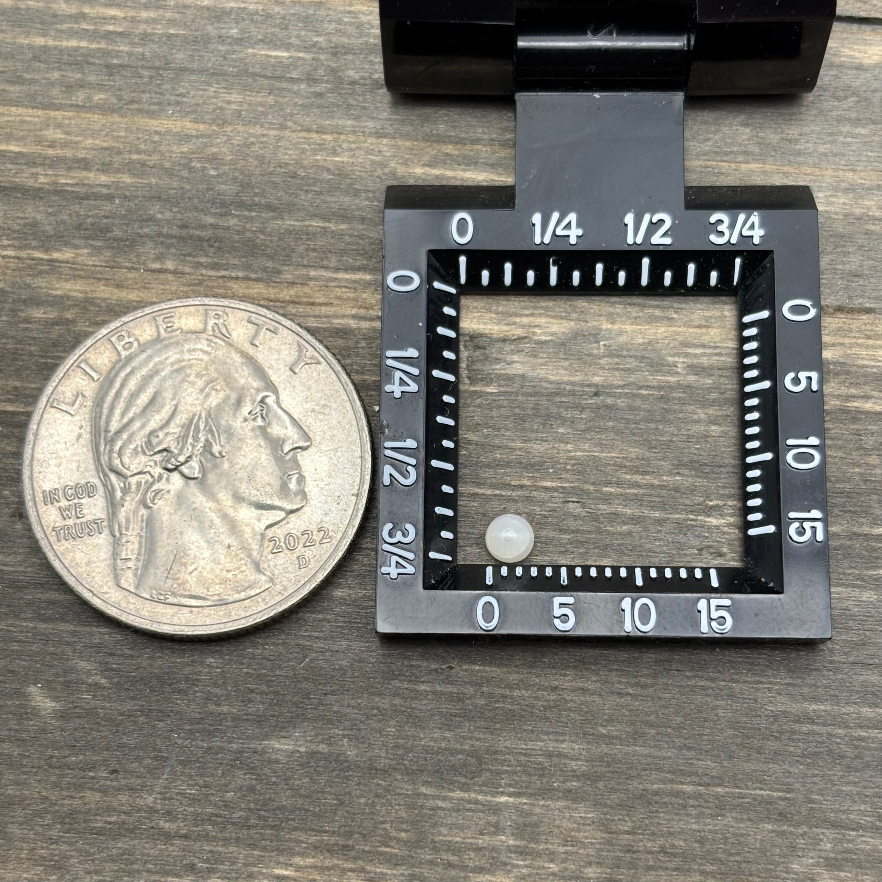 Wild Freshwater Pearl - 101