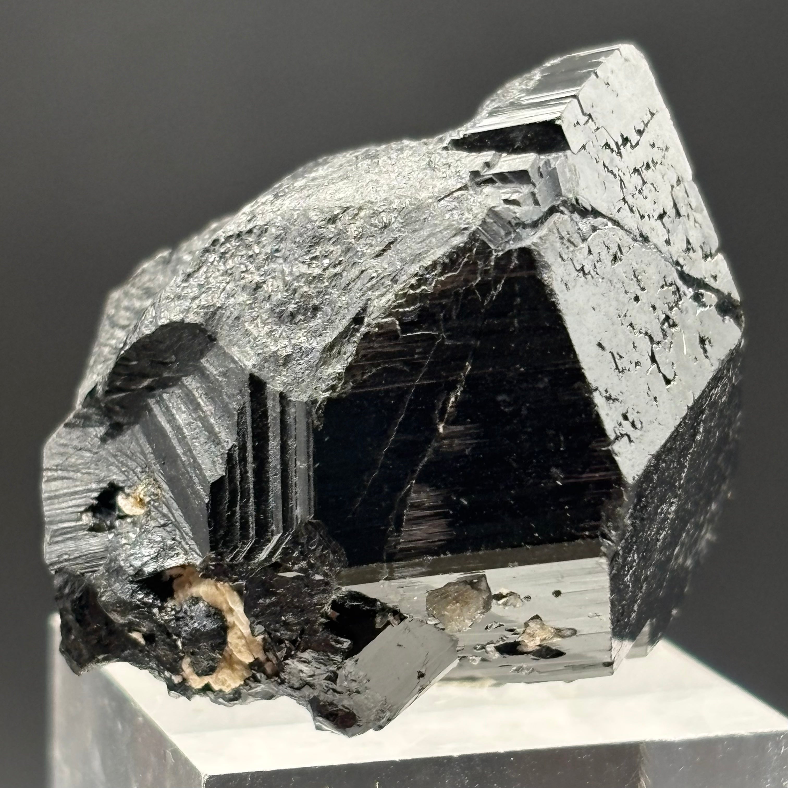 Black Tourmaline, Erongo Mountain - 202