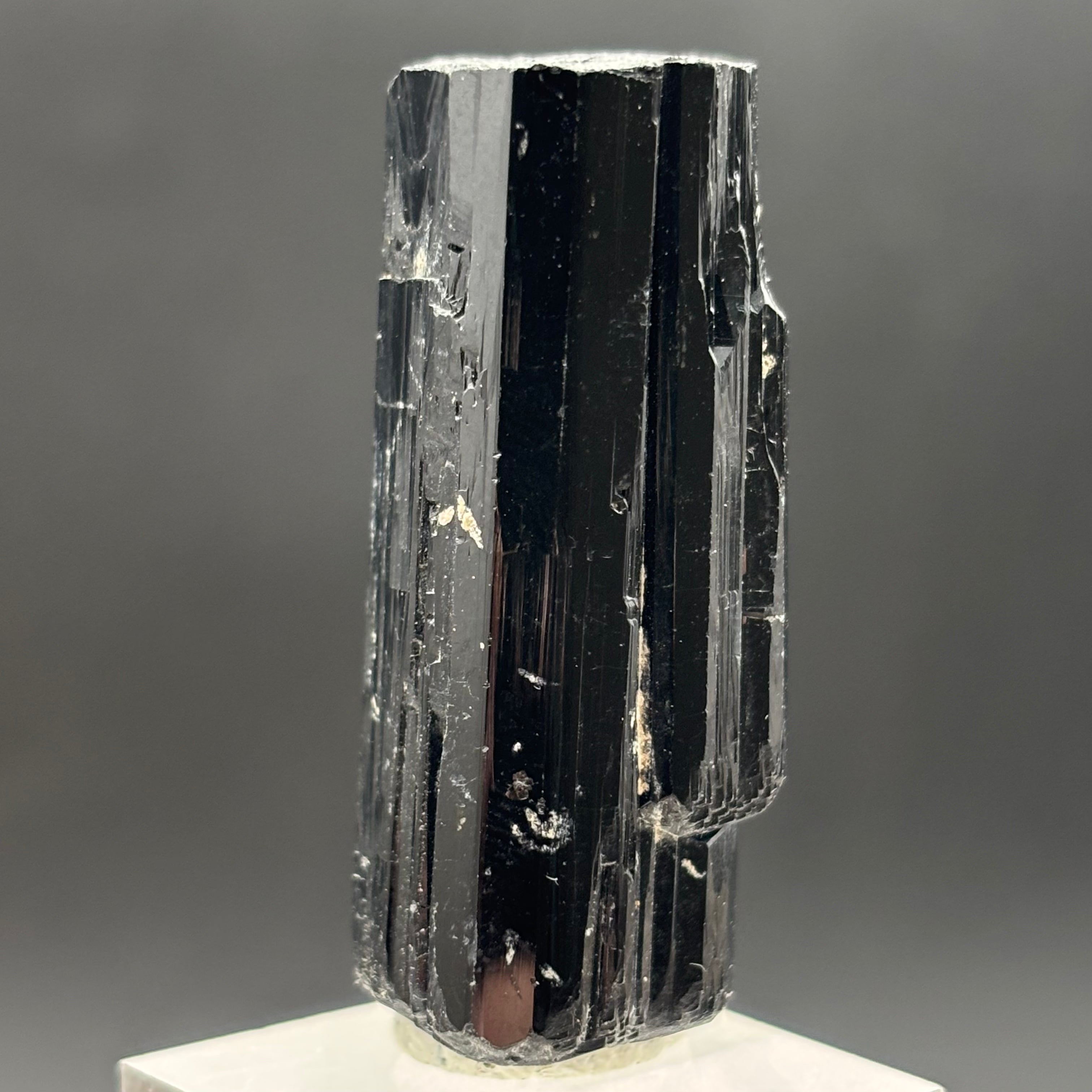 Black Tourmaline, Erongo Mountain - 212