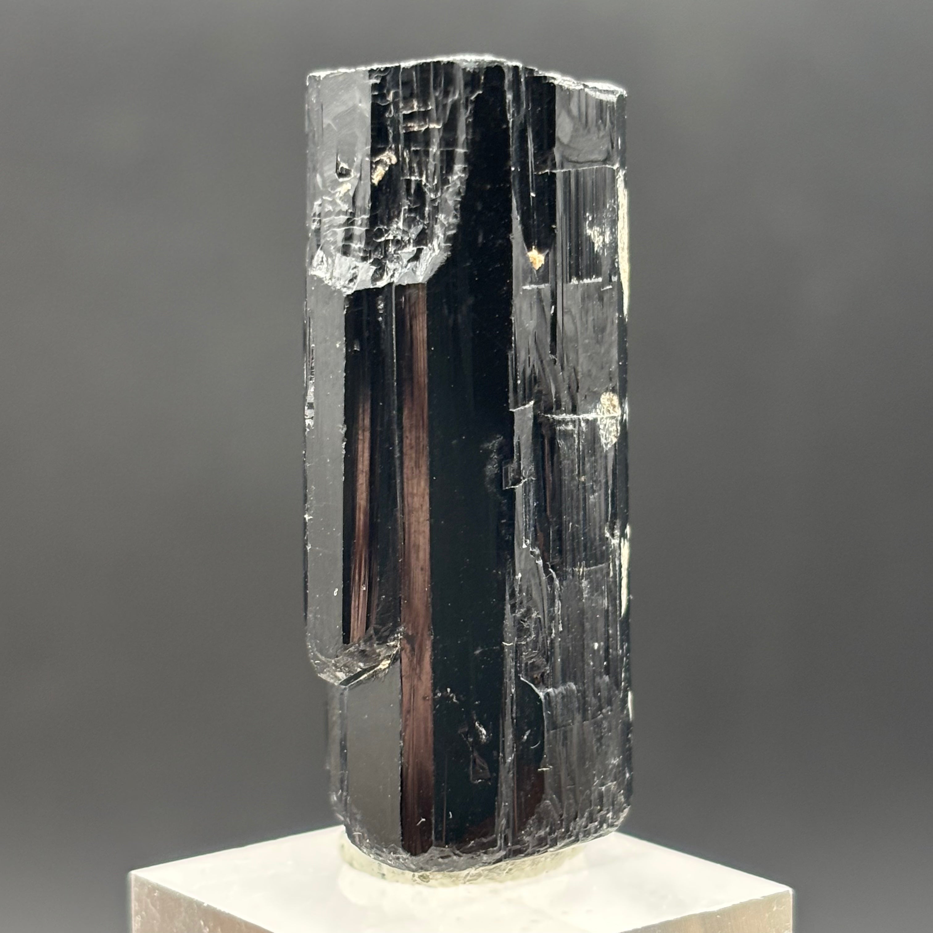 Black Tourmaline, Erongo Mountain - 212