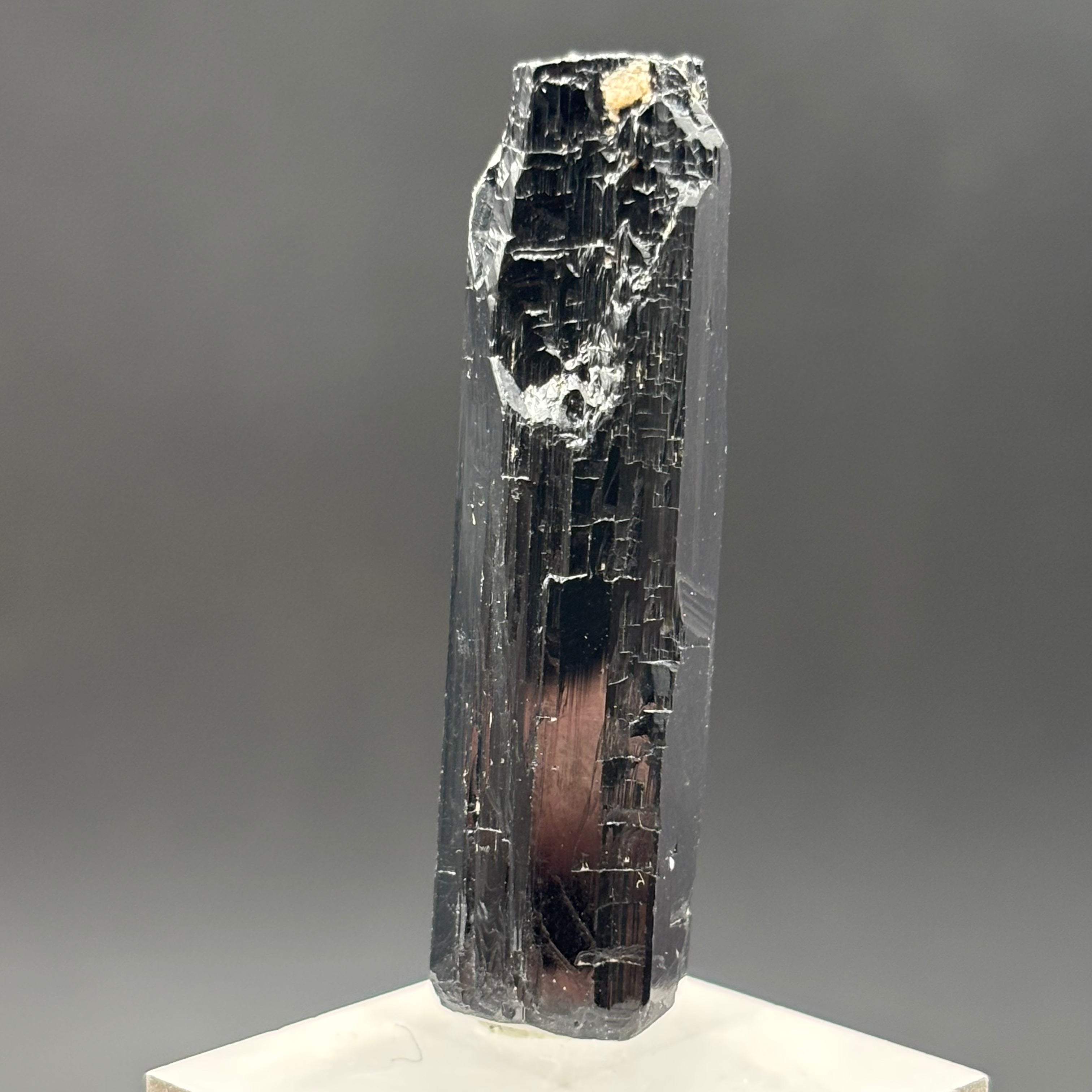 Black Tourmaline, Erongo Mountain - 213
