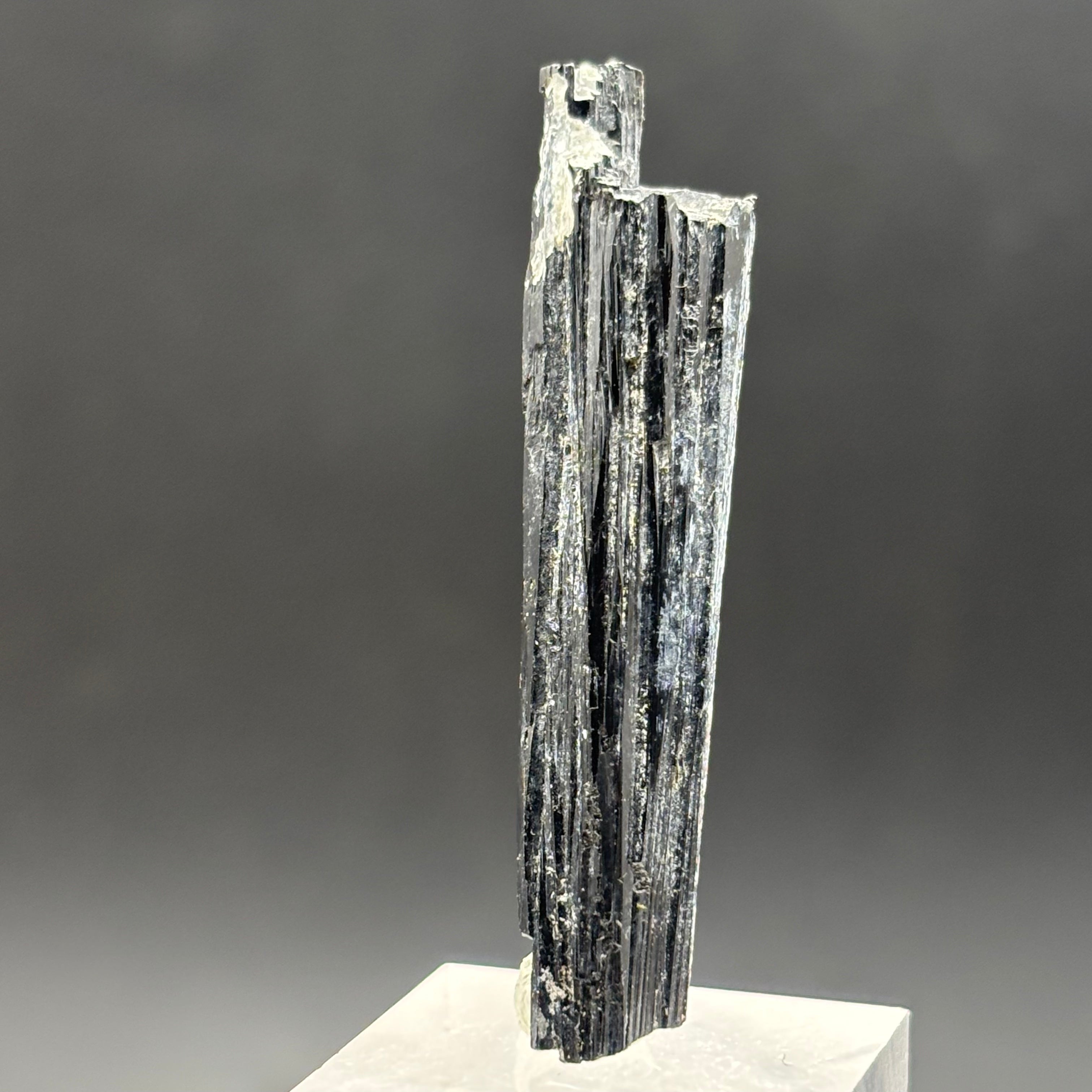 Black Tourmaline, Erongo Mountain - 217