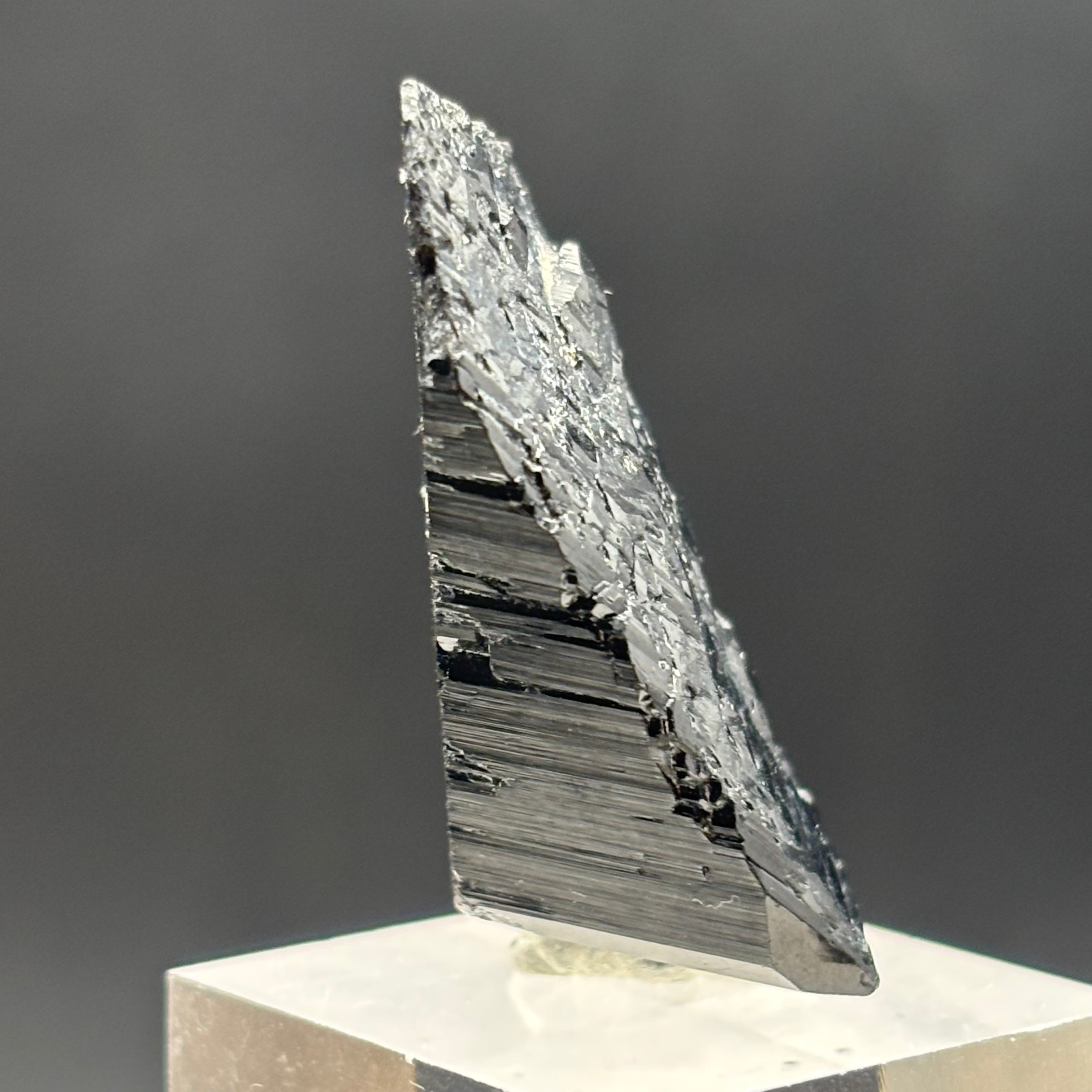 Black Tourmaline, Erongo Mountain - 219