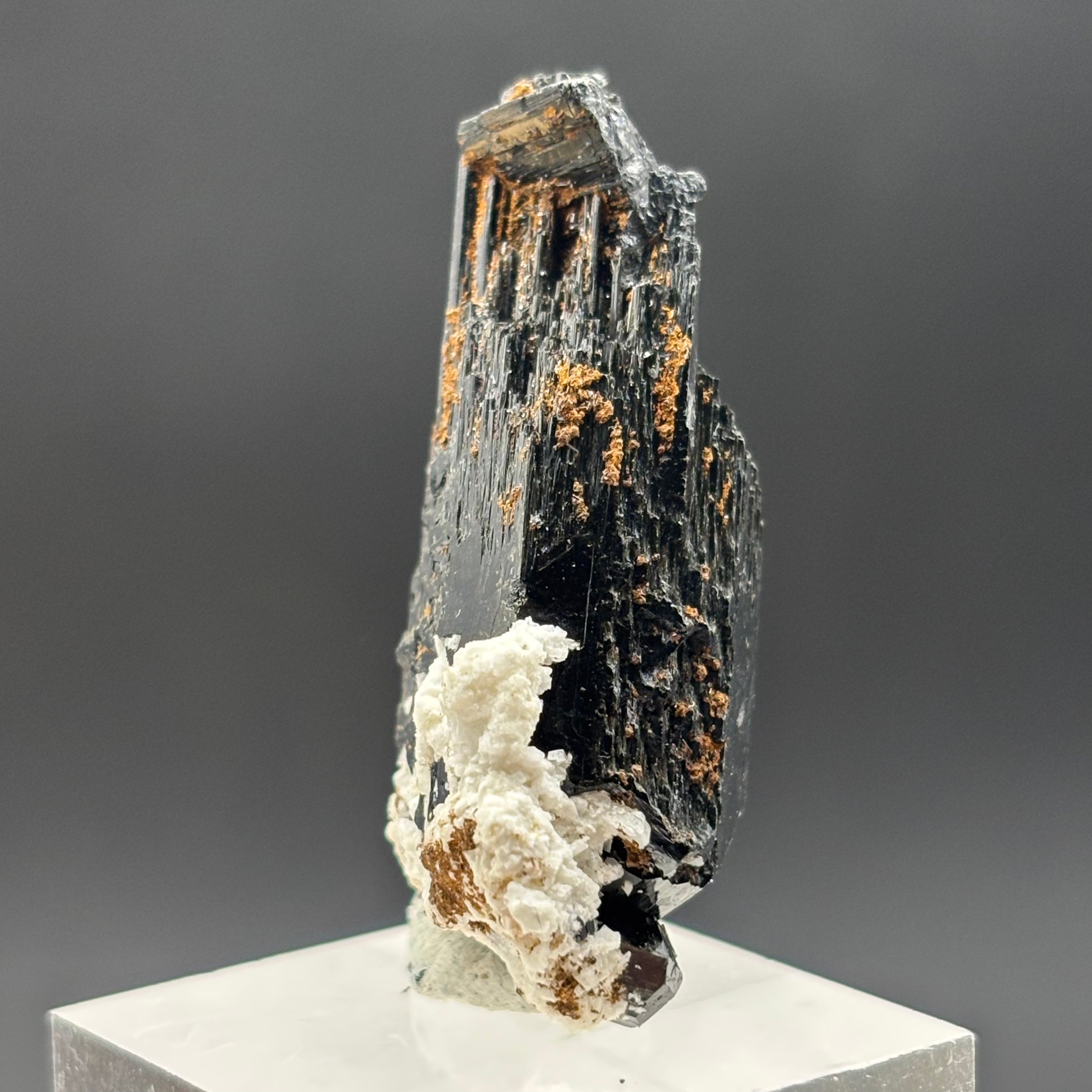 Black Tourmaline, Erongo Mountain - 220