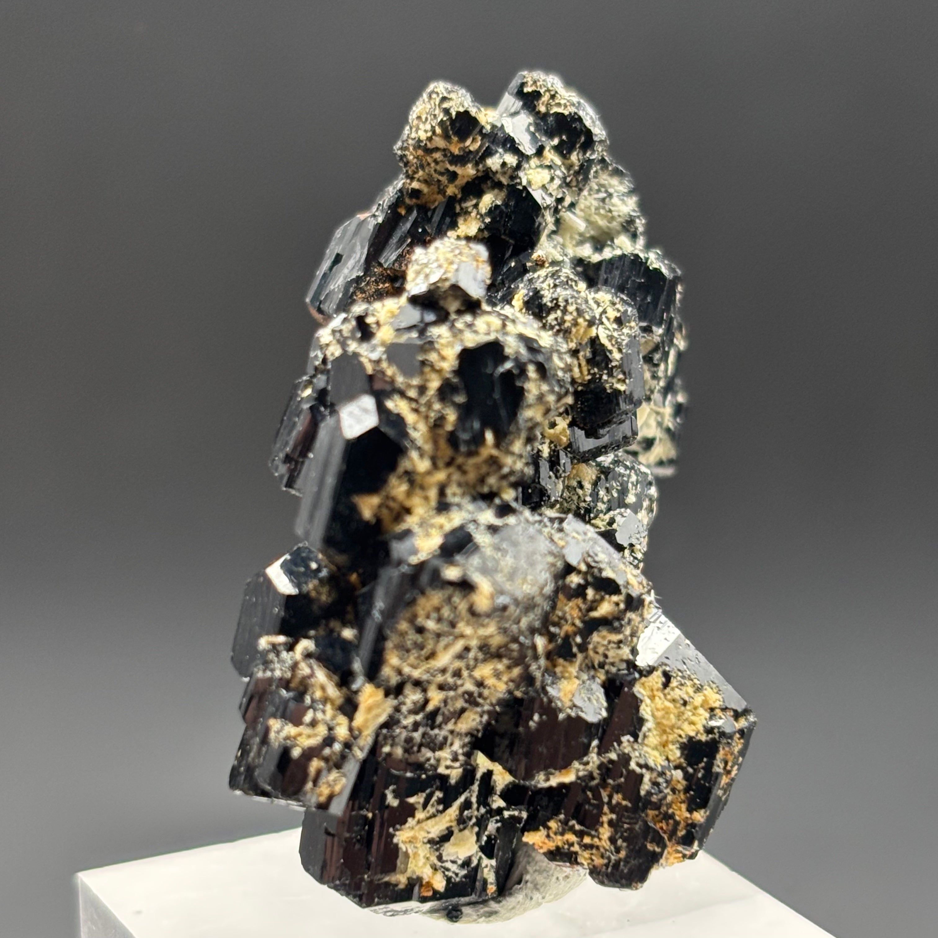 Black Tourmaline, Erongo Mountain - 221