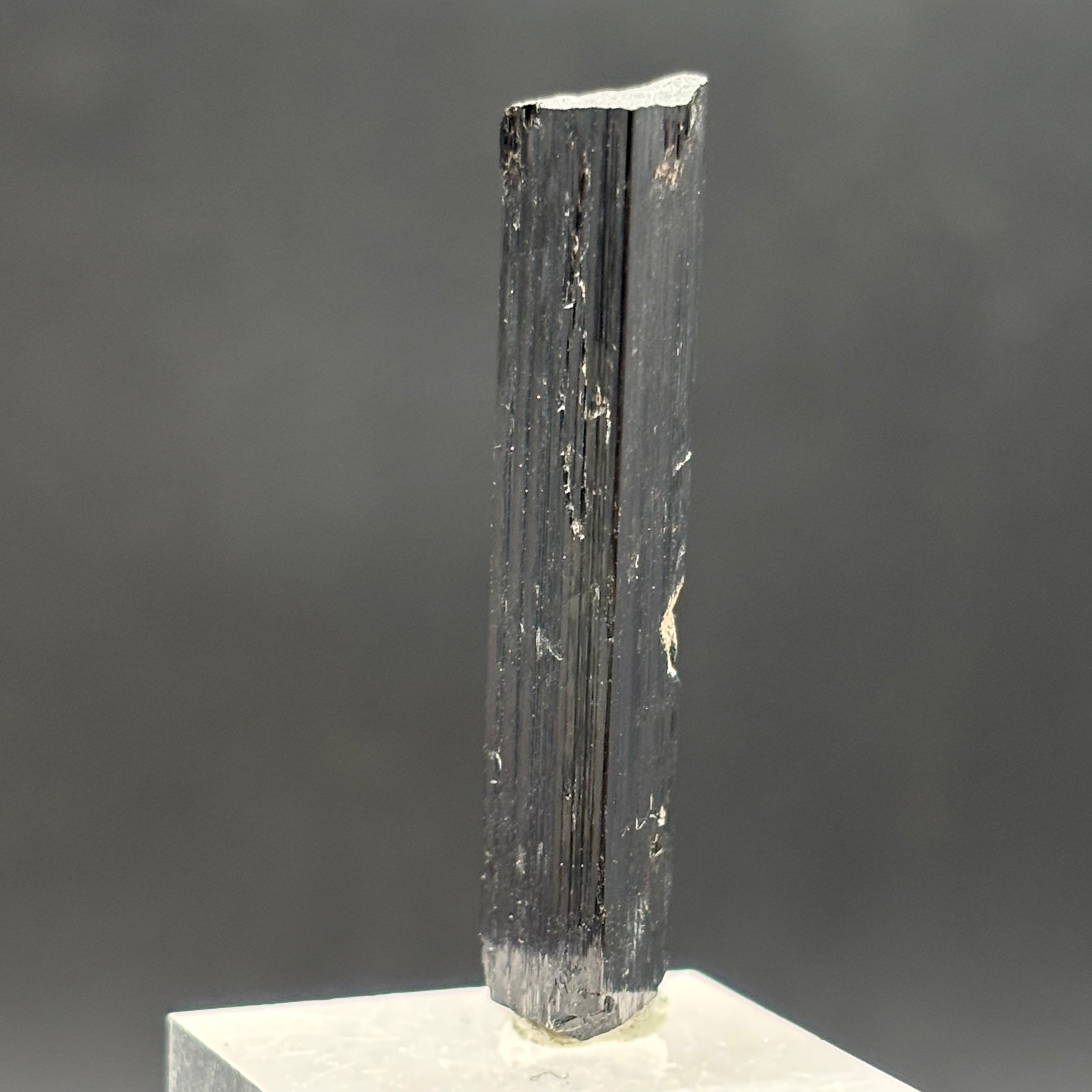 Black Tourmaline, Erongo Mountain - 228